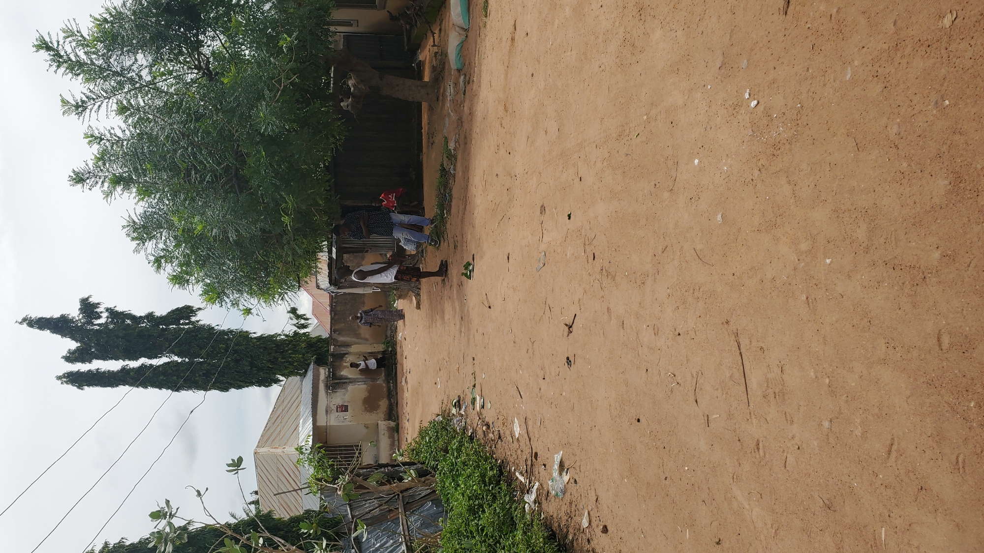 The image depicts a dirt road in Jalingo, Nigeria, with residential buildings and trees flanking the sides. In the foreground, the sandy road shows signs of recent foot traffic, with scattered debris including plastic bags and paper. Several people are visible in the middle ground. On the left side of the road, two individuals stand near a building entrance. Further down the road, a group of three people are gathered. One person, wearing a white t-shirt and patterned shorts, is standing and looking towards another individual. This second person, dressed in a patterned shirt and blue jeans, is facing away from the camera. A third person, wearing a red shirt, is partially visible behind them. In the background, tall, slender trees stand against a cloudy sky, with a wider, leafy tree dominating the right side of the frame. The overall scene suggests a casual, everyday moment in a Nigerian urban or semi-urban setting.