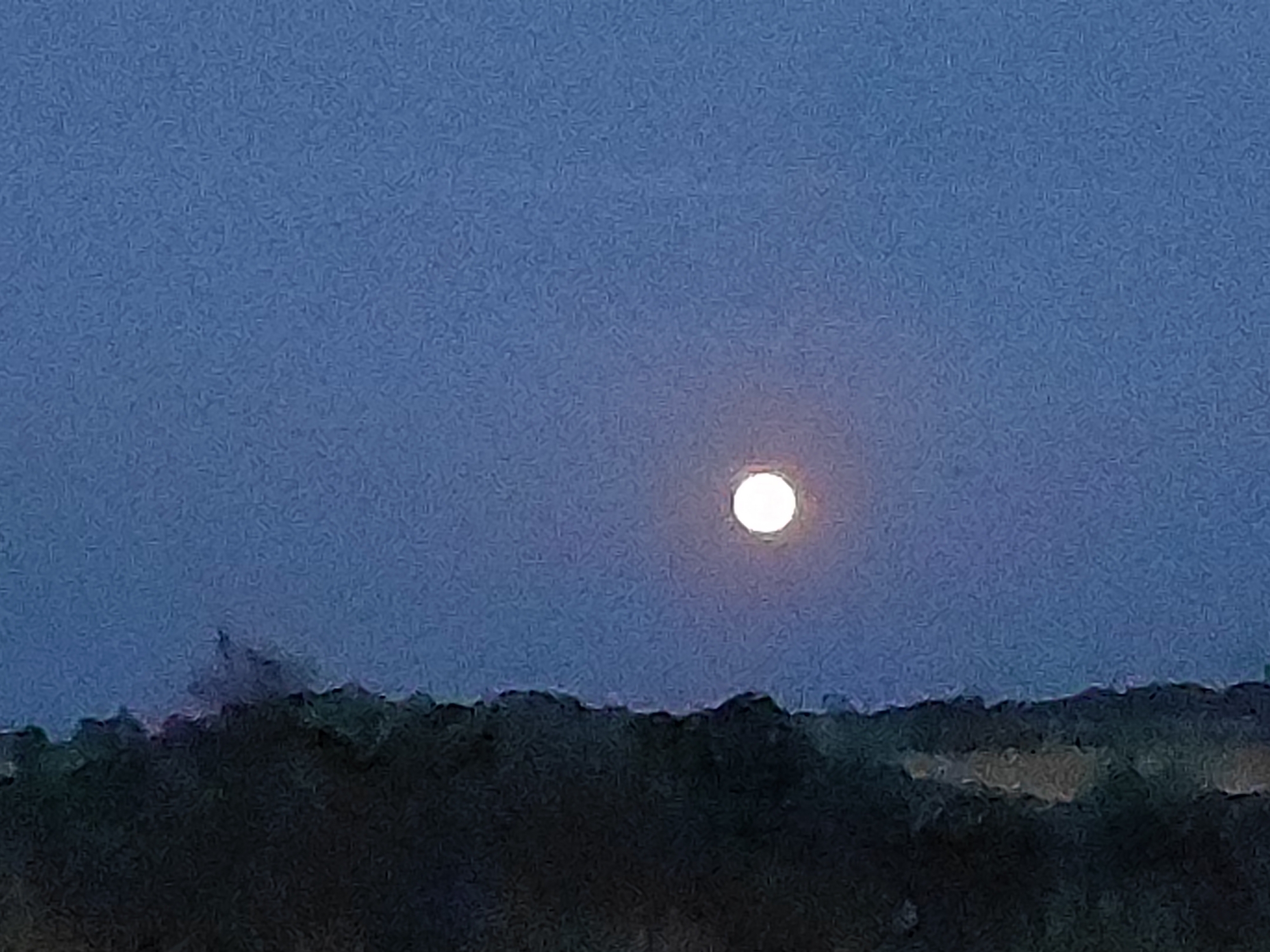 The image depicts a rural landscape under a twilight sky. A bright, circular moon is visible in the upper right quadrant, casting a soft glow. The foreground is dominated by a dark, silhouetted line of trees or foliage, suggesting a forested or hilly area. The sky is a deep blue, transitioning to lighter hues near the horizon. There are no visible people, structures, or distinct urban features indicative of the city of Sobradillo, Spain. The scene appears to be a natural setting at dusk.