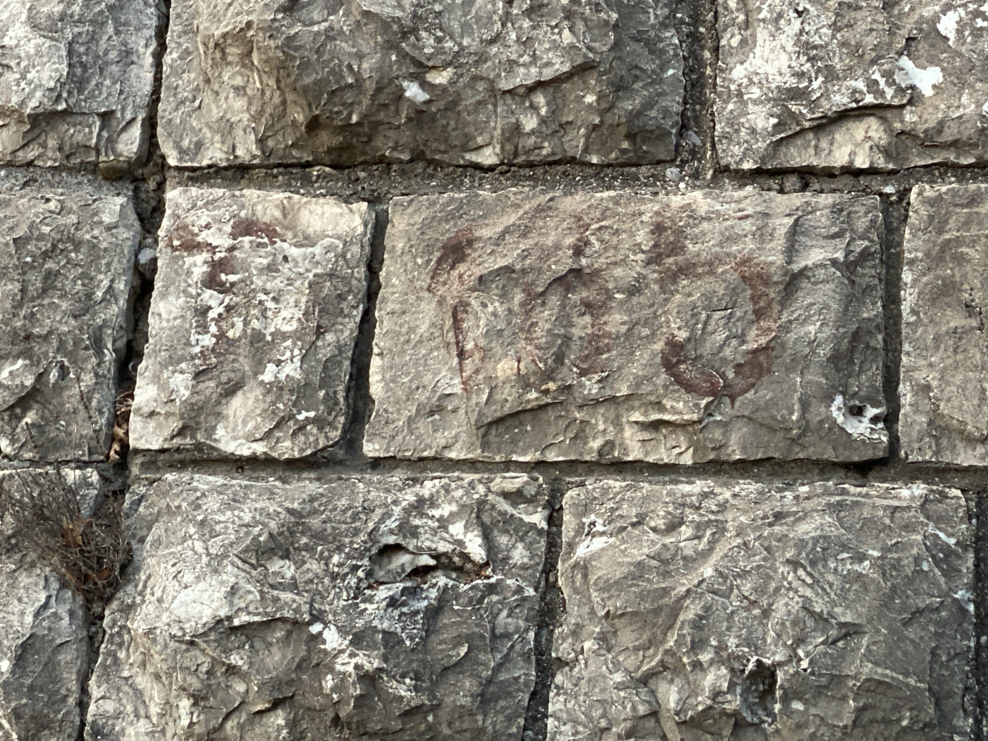 The image shows a section of a stone wall, likely part of a historical structure in Sutomore, Montenegro. The stones are rough-hewn and of varying sizes, mortared together. There are some reddish-brown markings on one of the stones in the upper right quadrant of the image, possibly graffiti or paint remnants. The wall appears weathered, with some cracks and imperfections. A small amount of dried vegetation is visible in a crevice on the left side of the image. The lighting suggests it is daytime. There are no people or animals visible in the image.