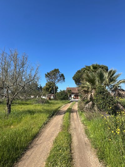 A dirt road leads towards a house surrounded by trees and vegetation under a clear blue sky. The location is identified as Cutrofiano, Italy based on its rural landscape and architectural style.