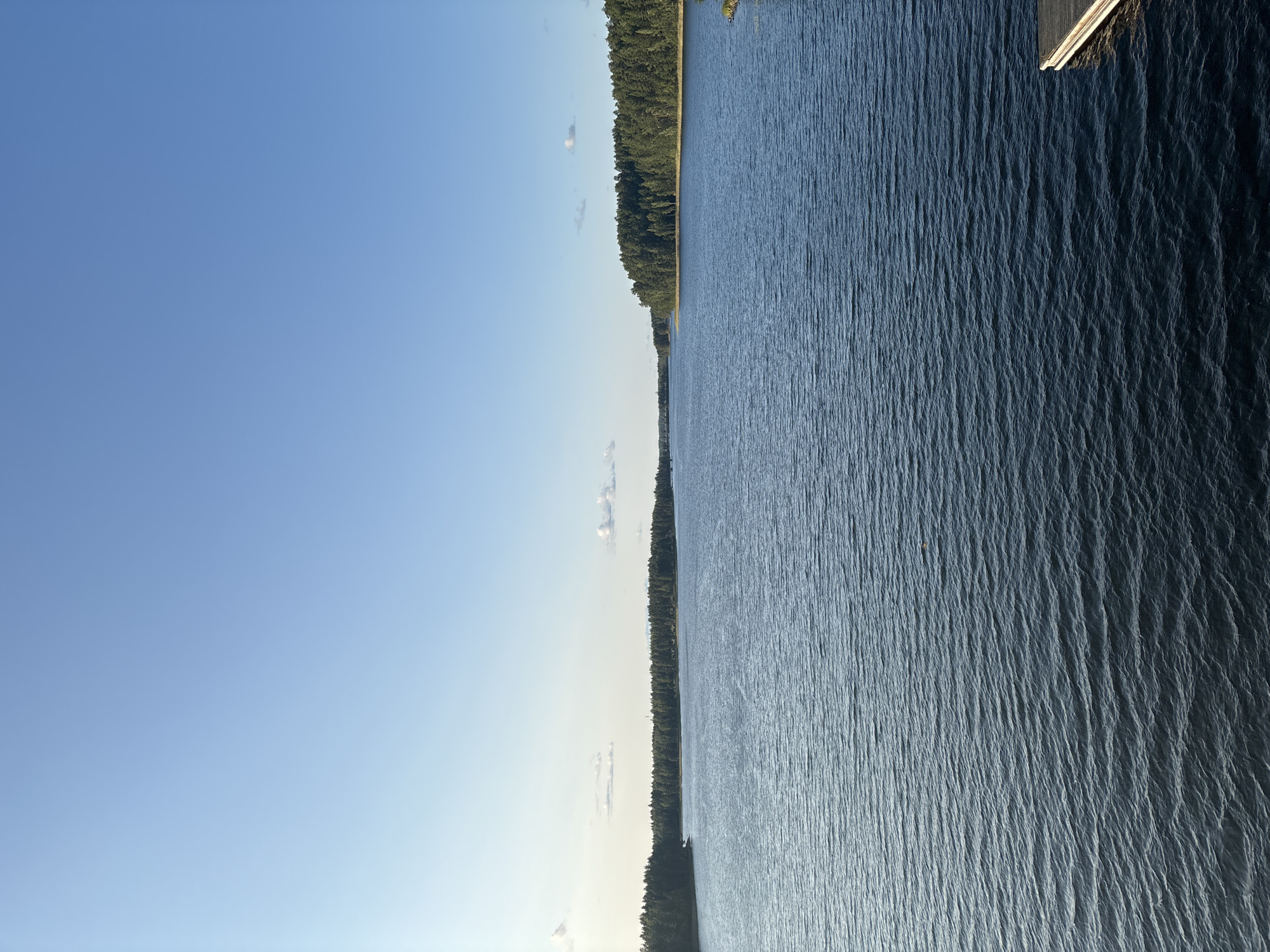 The image depicts a wide, calm lake with a clear blue sky. A dense forest lines the distant shore, creating a dark green border against the horizon. The water is dark blue and exhibits a gentle ripple pattern. In the foreground on the right side, a section of a wooden dock is visible, partially submerged in the water. The scene appears to be set in a natural, serene environment, likely a popular spot for recreation or to enjoy the landscape. This image could have been taken at a lake such as Saimaa, which is a significant geographical feature of Savonlinna, Finland.
