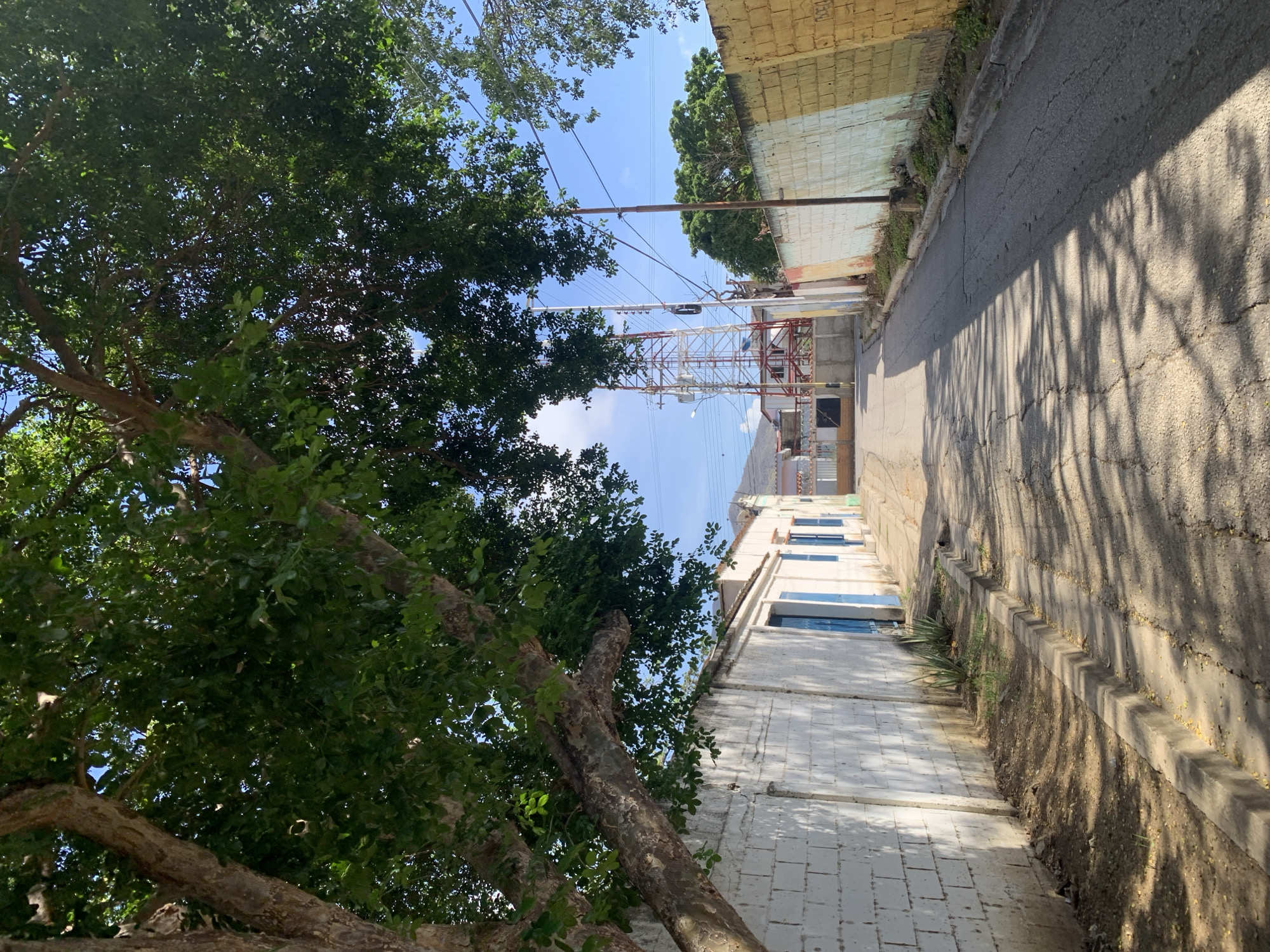 A vertical, eye-level, medium shot shows a road in a sunny, urban environment. The road is paved and cracked, with shadows of tree leaves dappling its surface. To the left, a white brick wall runs along the road, with blue-shuttered windows visible. Aloe plants grow at the base of the wall. To the right, a wall painted with yellow and white stripes runs along the road. In the distance, a tall radio tower stands against a clear blue sky, with some buildings and trees visible behind it. The overall impression is a quiet, sun-drenched street in Santa Ana, Venezuela.