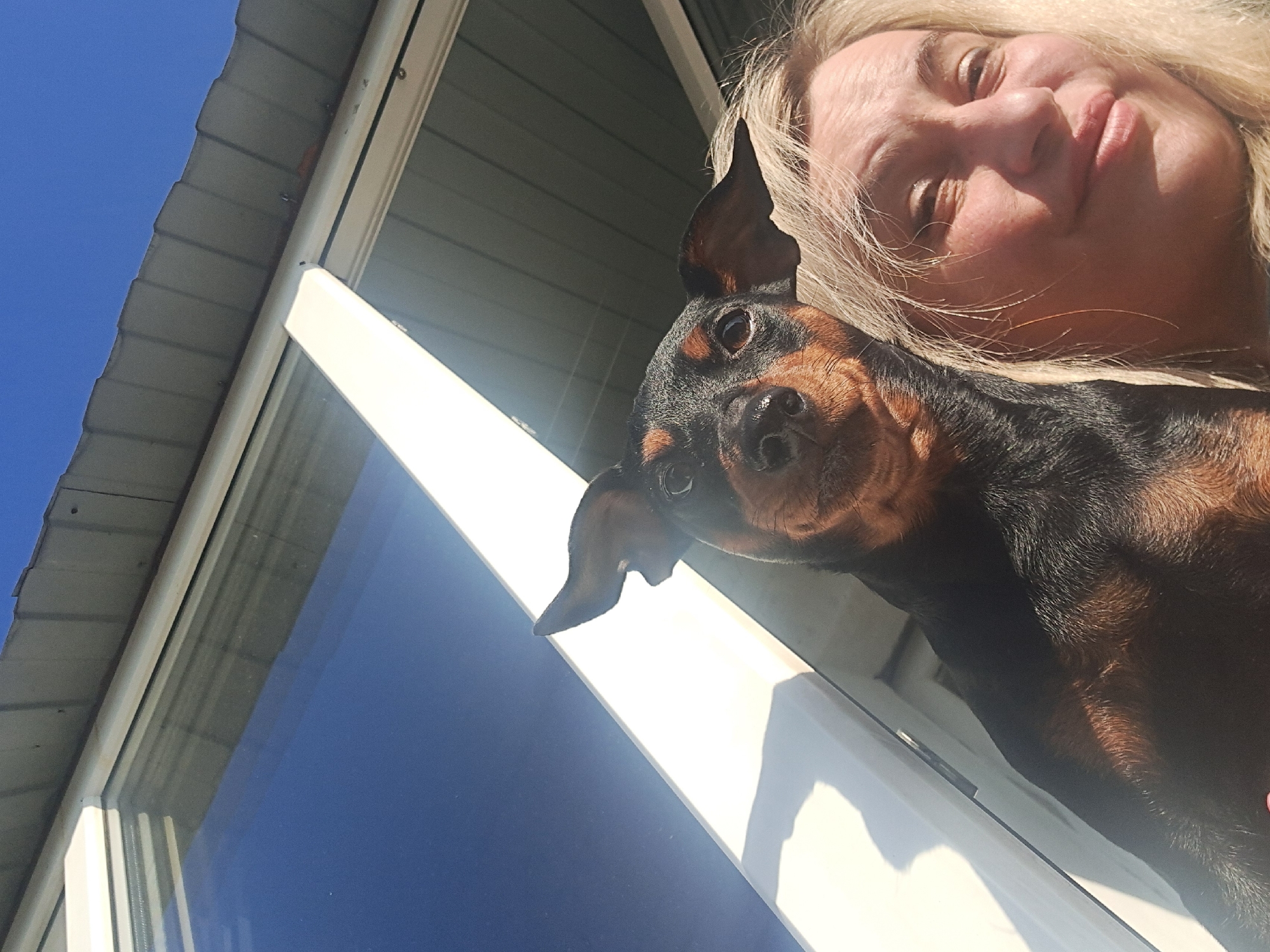 A low-angle shot features a woman with blonde hair, her face close to the camera, alongside a black and brown miniature pinscher dog. They are positioned near a window with a white frame. The window reflects a blue sky and a portion of a gray roof. The setting appears to be outdoors.