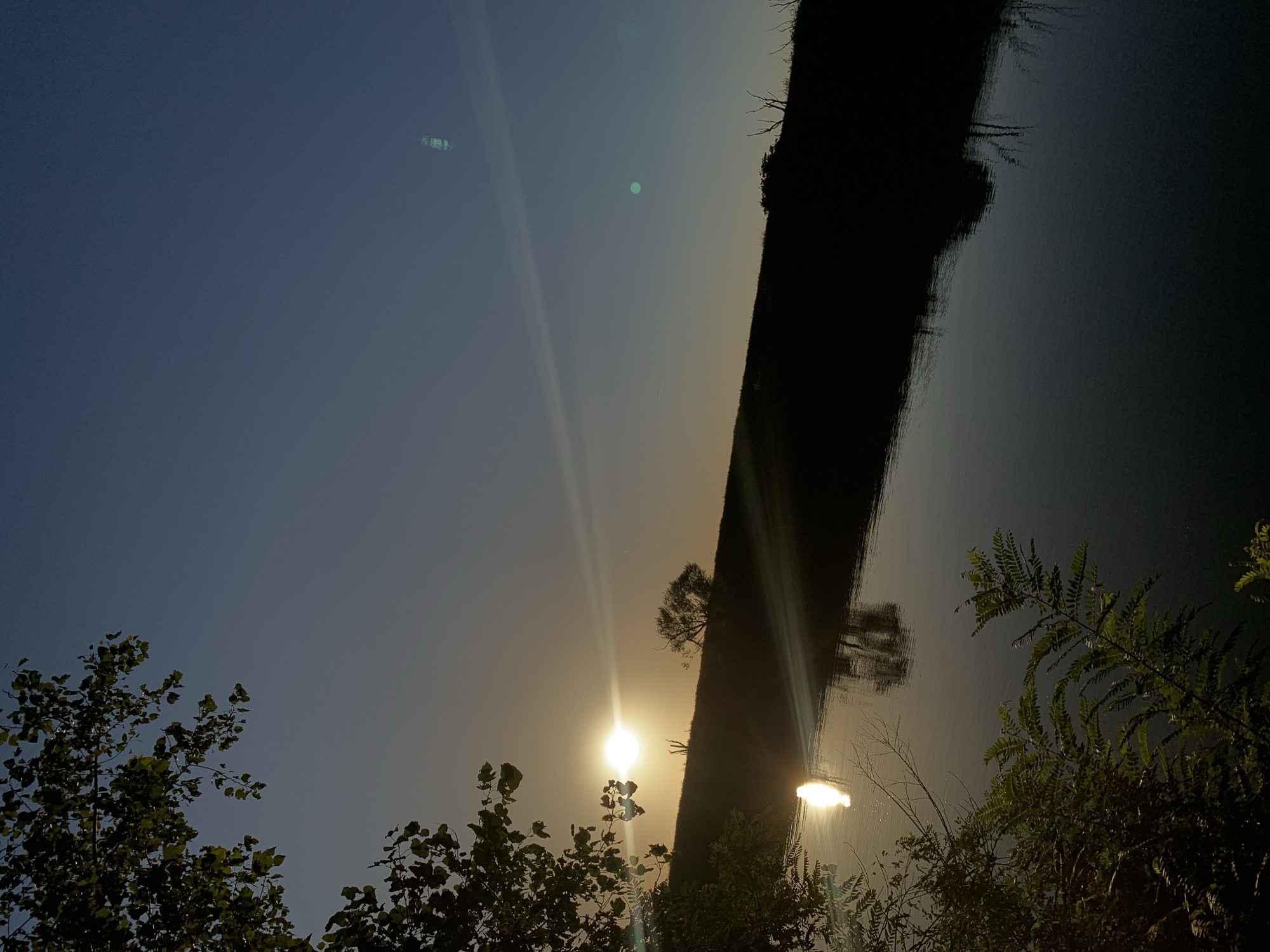 The image captures a serene natural landscape at dusk. The sun, low on the horizon and partially obscured by silhouetted trees and foliage, casts a warm glow across the scene. Its reflection shimmers on the surface of a calm body of water, likely a river or a lake, which occupies the lower half of the frame. The opposite bank is a dark silhouette, with sparse vegetation and the outline of a solitary tree. The sky transitions from a pale yellow near the horizon to a deep blue overhead, with subtle light streaks and two green lens flares visible. The foreground features the dark silhouettes of trees and lush green foliage. The image appears to be taken in a rural or natural setting, with no human presence or urban structures immediately apparent. The overall atmosphere is tranquil and evocative of a peaceful evening. The location is not specified in the image, and therefore cannot be identified as Ariano, Italy.