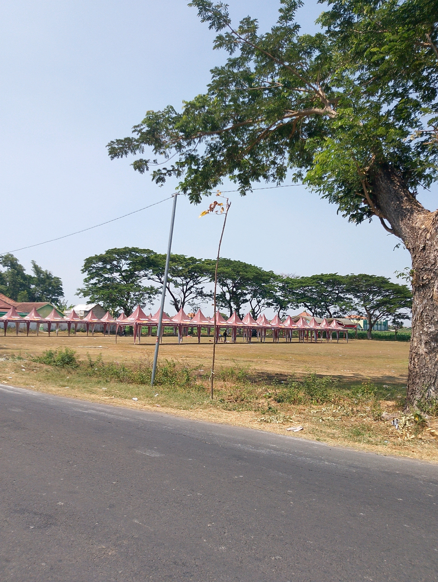 The image depicts a large, open field in the city of Nganjuk, Indonesia, possibly a park or a vacant lot, with a row of pink and white tents set up along a line. The tents are arranged in a uniform manner, suggesting a prepared event or market. In the background, a line of mature trees with lush green foliage forms a natural backdrop, under a clear, pale blue sky. A large, textured tree trunk is prominently visible on the right side of the frame, its branches extending towards the sky. A paved road runs across the foreground, with dry grass and scattered debris along its edge. A few people are visible near the tents, appearing as small figures in the distance. A tall pole with some small colorful flags is planted in the ground in the mid-ground, adding a touch of decoration. The overall scene conveys a sense of an outdoor gathering or preparation for one, under a bright, sunny day.