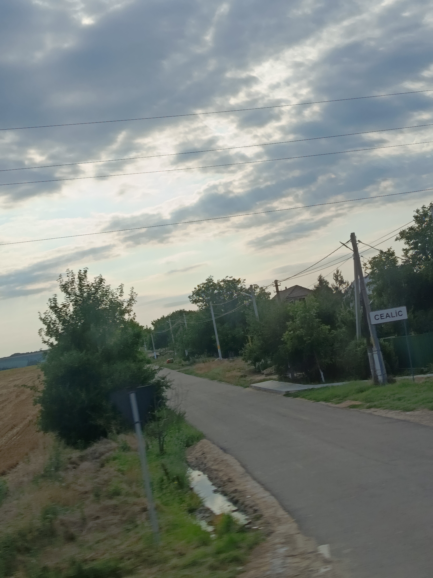 The image depicts a rural road in Samurza, Moldova, under a cloudy sky. A paved road curves to the right, bordered by dry grass and a small ditch on the left and a grassy verge with trees and houses on the right. A signpost with the name "CEALIC" is visible on the right side of the road. Power lines are strung across the sky. A harvested field of wheat is present on the left side of the road, behind a dense green tree. The overall scene suggests a quiet, daytime setting in a rural village.