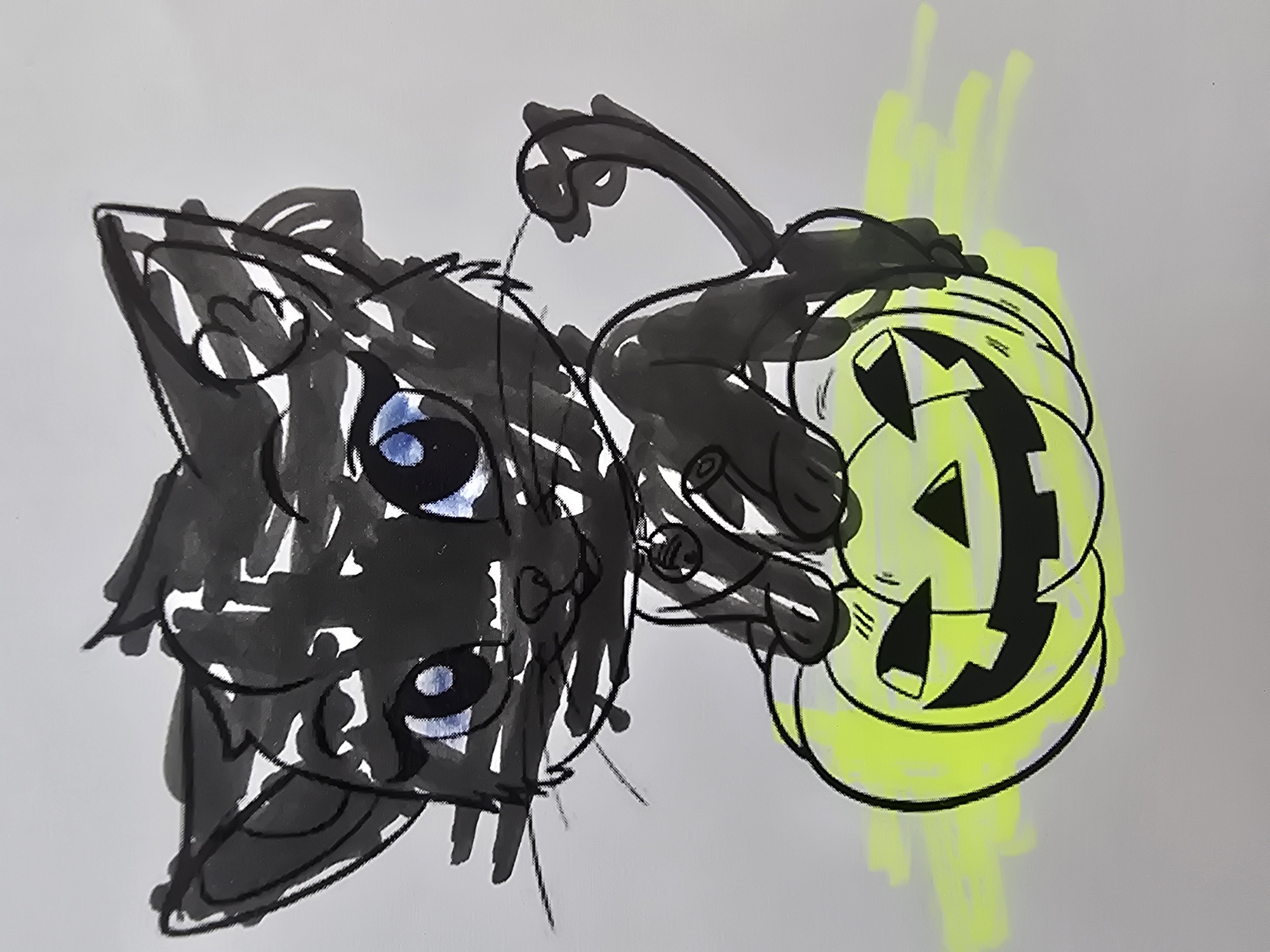 A cartoon black cat with bright blue eyes sits atop a jack-o'-lantern. The cat has large pointed ears, thick black outlines, and is colored with black marker, showing areas of white where the marker did not cover. Its tail curves upwards and to the right. The jack-o'-lantern is carved with a traditional spooky face and is outlined in black. It has a bright green glow emanating from behind it. The background is a plain, light gray surface.