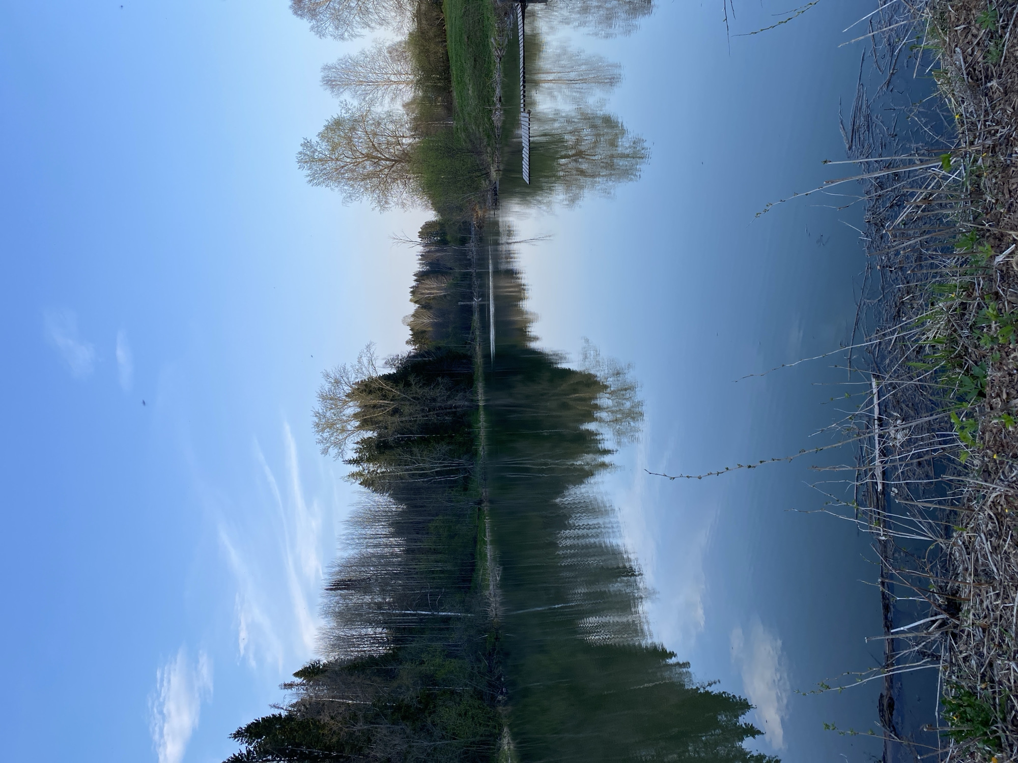 The image shows a symmetrical reflection of a landscape on a body of water. The scene includes trees, a pier, and a clear blue sky with wispy clouds reflected in the water. The right side of the image includes a bank with vegetation. The location is reported to be Баклуши, Russia. No people are visible.