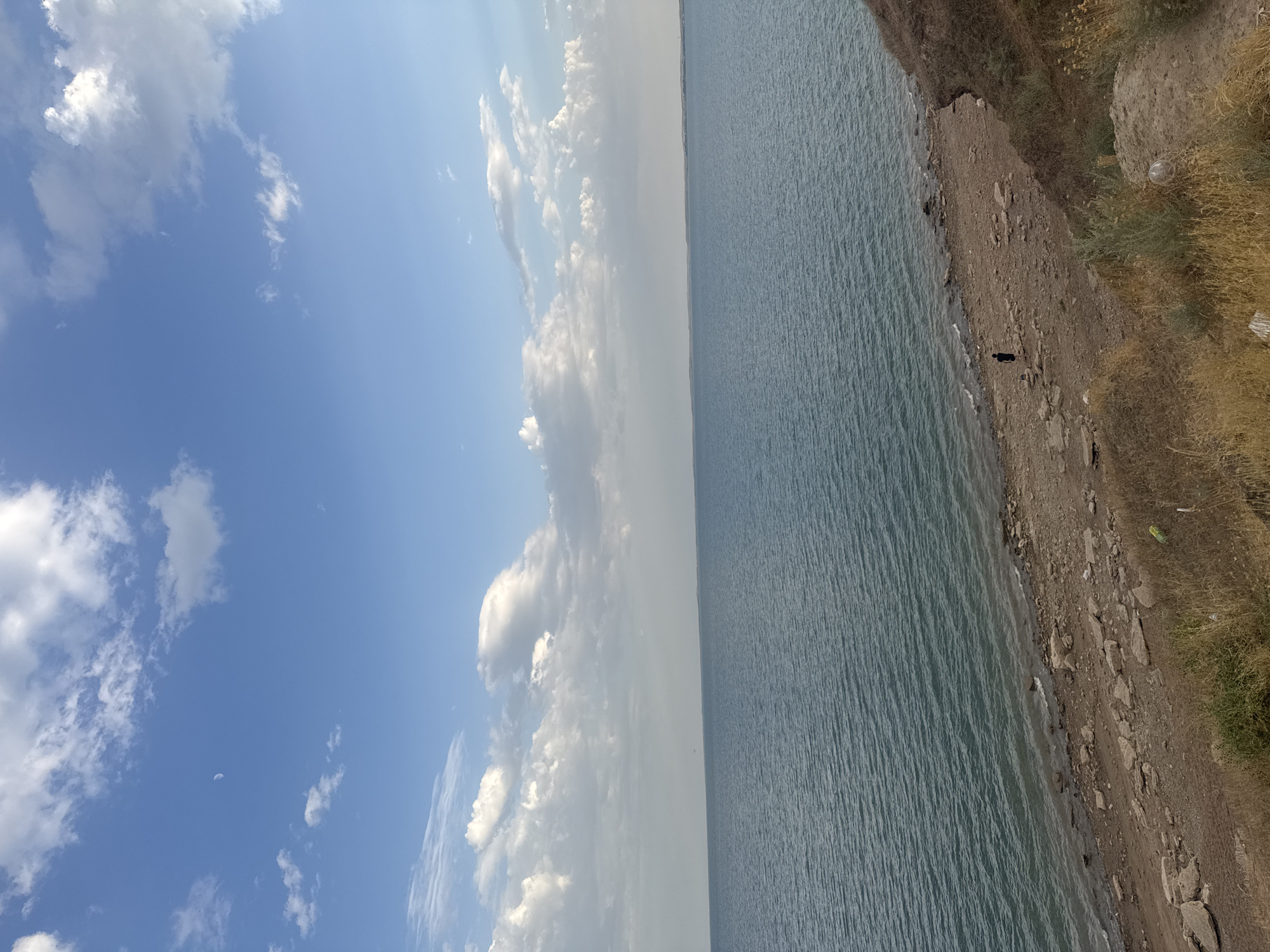 The image depicts a wide, calm body of water, likely a reservoir, under a bright blue sky dotted with white cumulus clouds. A thin crescent moon is visible in the upper left quadrant of the sky. The foreground shows a rocky, slightly sloping shoreline covered with dry grass and sparse vegetation. A single figure, appearing to be a person wearing dark clothing, stands on the shore near the water's edge. In the distance, the horizon is marked by a faint, hazy outline of land. The overall scene conveys a sense of natural tranquility. The location is identified as the city of Şardara, Kazakhstan, which is known for its large reservoir and dam.