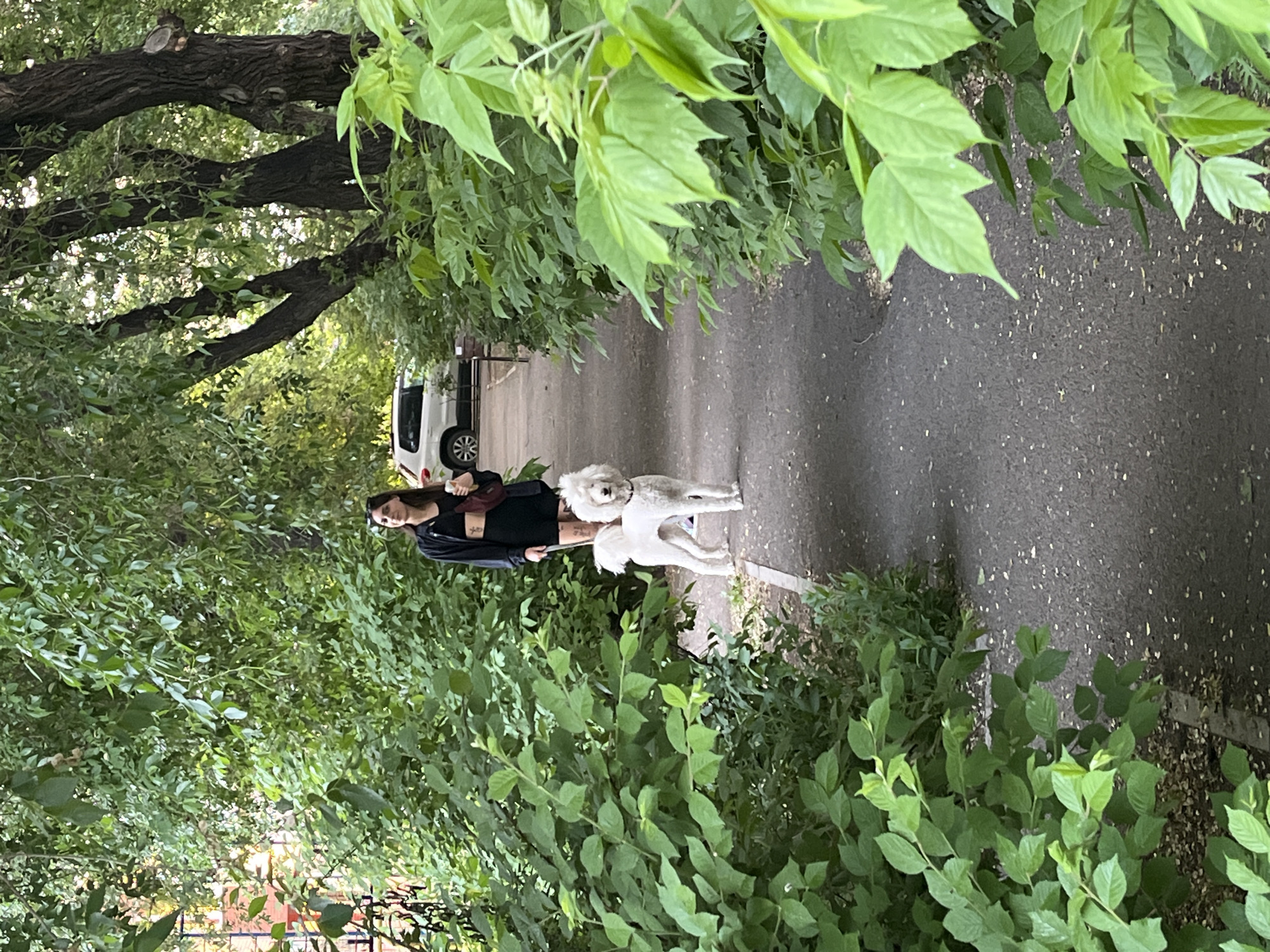 A young woman with dark hair is walking a white poodle on a leash down a paved path lined with lush green trees and bushes. The woman is wearing a black cropped jacket, a burgundy sports bra, and black shorts. She is holding a phone in her right hand and the leash in her left. The poodle is standing and looking towards the camera. In the background, a white SUV is parked on the side of a street. The scene appears to be in a residential area, possibly a courtyard or park in Krasnoyarsk, Russia.