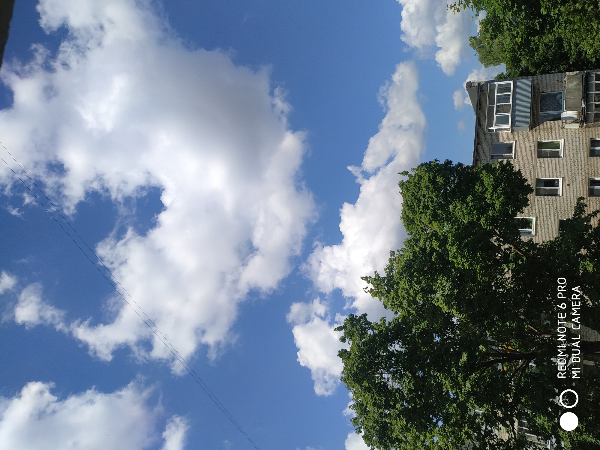 The image depicts a view from an elevated position, likely an apartment building, in Fryazino, Russia. The foreground is dominated by the lush green foliage of a large tree, with its branches extending towards the right of the frame. Behind the tree, a grey brick apartment building with multiple windows and a balcony is visible. The balcony features a grey metal siding and white-framed windows. Above the building, a bright blue sky is filled with fluffy white cumulus clouds. A thin black wire runs diagonally across the upper portion of the sky. The bottom left corner of the image contains a white circle and partial circle, along with the text "REDMI NOTE 6 PRO MI DUAL CAMERA", indicating the device used to capture the photograph. The overall scene suggests a pleasant day in a residential area with ample greenery.