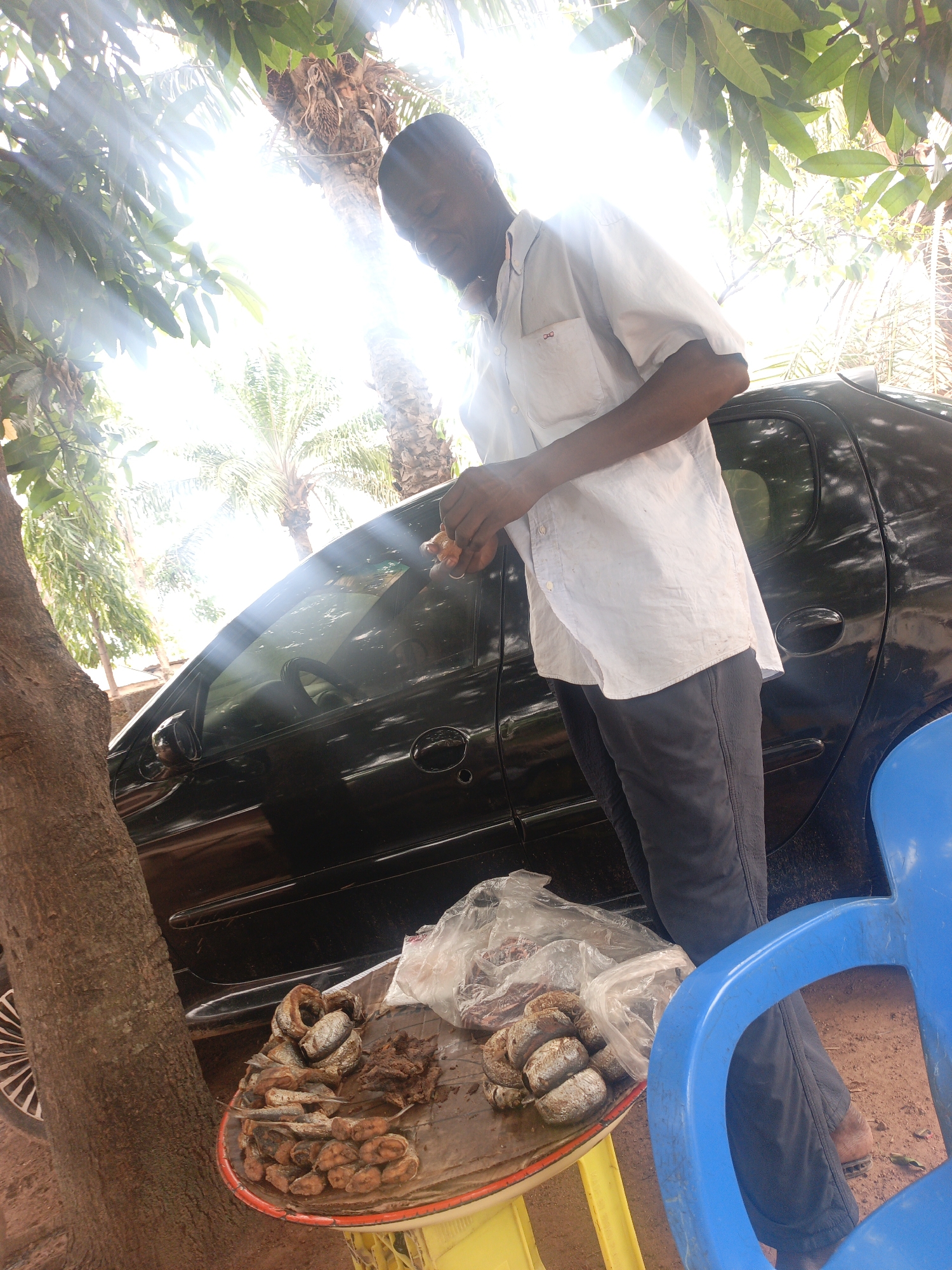 Akwanga, Nigeria. A man stands next to a black car, with a yellow and red table in front of him laden with dried fish. He is wearing a light-colored, short-sleeved shirt and dark trousers, appearing to be holding food in his hands. Next to the table, a blue plastic chair is visible, and a tree trunk is to the left. The scene is bathed in sunlight, some of which shines through the leaves above. A palm tree is visible in the background.