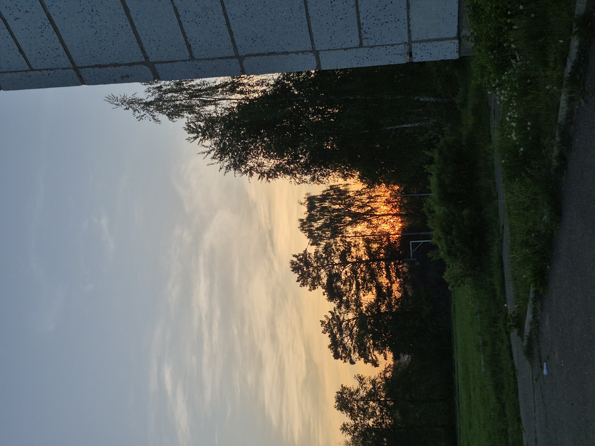 The image depicts a sunset scene in Chaikovsky, Russia, taken from an elevated position. A building with light blue, small-tiled exterior panels is visible in the upper left corner. The sky transitions from a light blue to a golden-orange hue due to the setting sun, which is partially obscured by trees. The tree line, consisting of various deciduous trees, runs diagonally across the center of the frame. A grassy area and a paved road edge are visible in the lower right corner. The sun's rays are shining through the trees, creating a silhouette effect. A small, white, rectangular structure is visible amidst the trees.