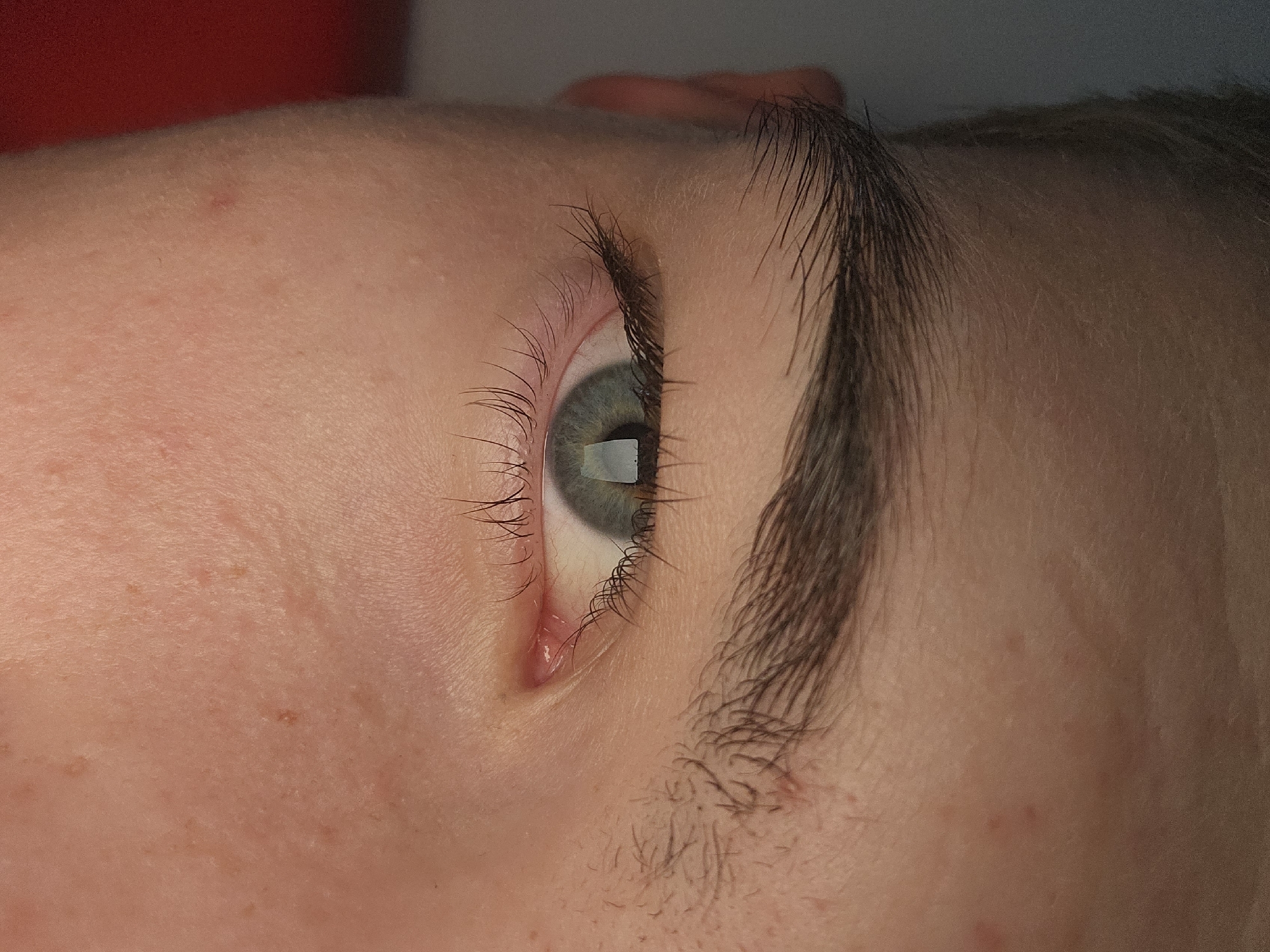This is a close-up, side-profile view of a person's left eye, presumably located in Sofia, Bulgaria. The subject's eye is open, revealing a blue-grey or green-grey iris with a distinct rectangular white reflection in the pupil, suggesting a light source such as a screen or window. The eyelashes are dark and long, curling upwards. Above the eye, a thick, dark eyebrow is visible, with some fine, dark hairs growing below its main line towards the nose. The skin surrounding the eye and extending towards the temple and forehead appears fair with some minor freckles or moles and visible pores. The overall lighting is soft but clear. No specific activity beyond posing for the photograph can be determined. There are no discernible time of day or weather cues, and no text is visible in the image.