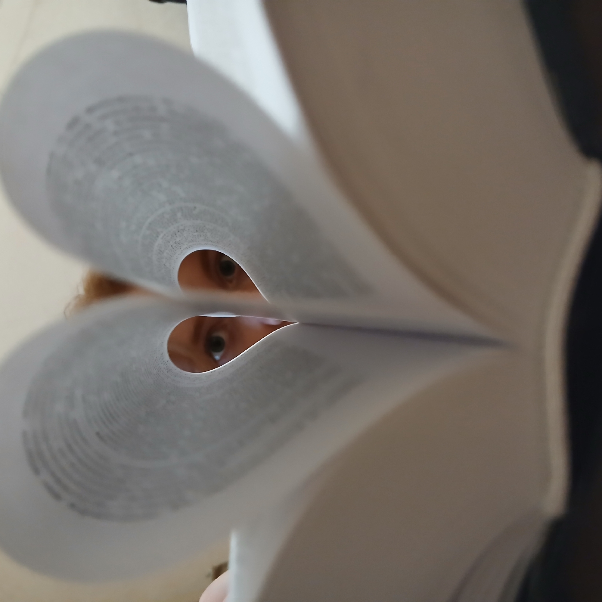 A close-up, low-angle photograph captures a unique perspective of a person looking through a book. The pages of the open book are artfully folded and curled to create a distinct heart-shaped opening in the center. Through this opening, the eyes of a person are visible, peering directly towards the viewer. A hint of reddish-brown hair and skin can be seen around the eyes, suggesting the person is close to the book.
The book's pages are a light, possibly off-white, color. Although text is present on the pages, its circular arrangement and blurriness make it illegible. The overall lighting suggests an indoor setting, likely with ambient daylight or soft artificial light. The background behind the person is indistinct and light-colored, further emphasizing the subject in the foreground.
The image portrays an intimate and creative moment, possibly alluding to a love for reading or books, or simply a playful photographic composition. While the image itself does not contain specific visual cues for its location, the provided context indicates that this scene is set in Yekaterinburg, Russia. The emotion conveyed by the visible eyes is neutral to slightly engaging, framed by the symbolic heart shape.
