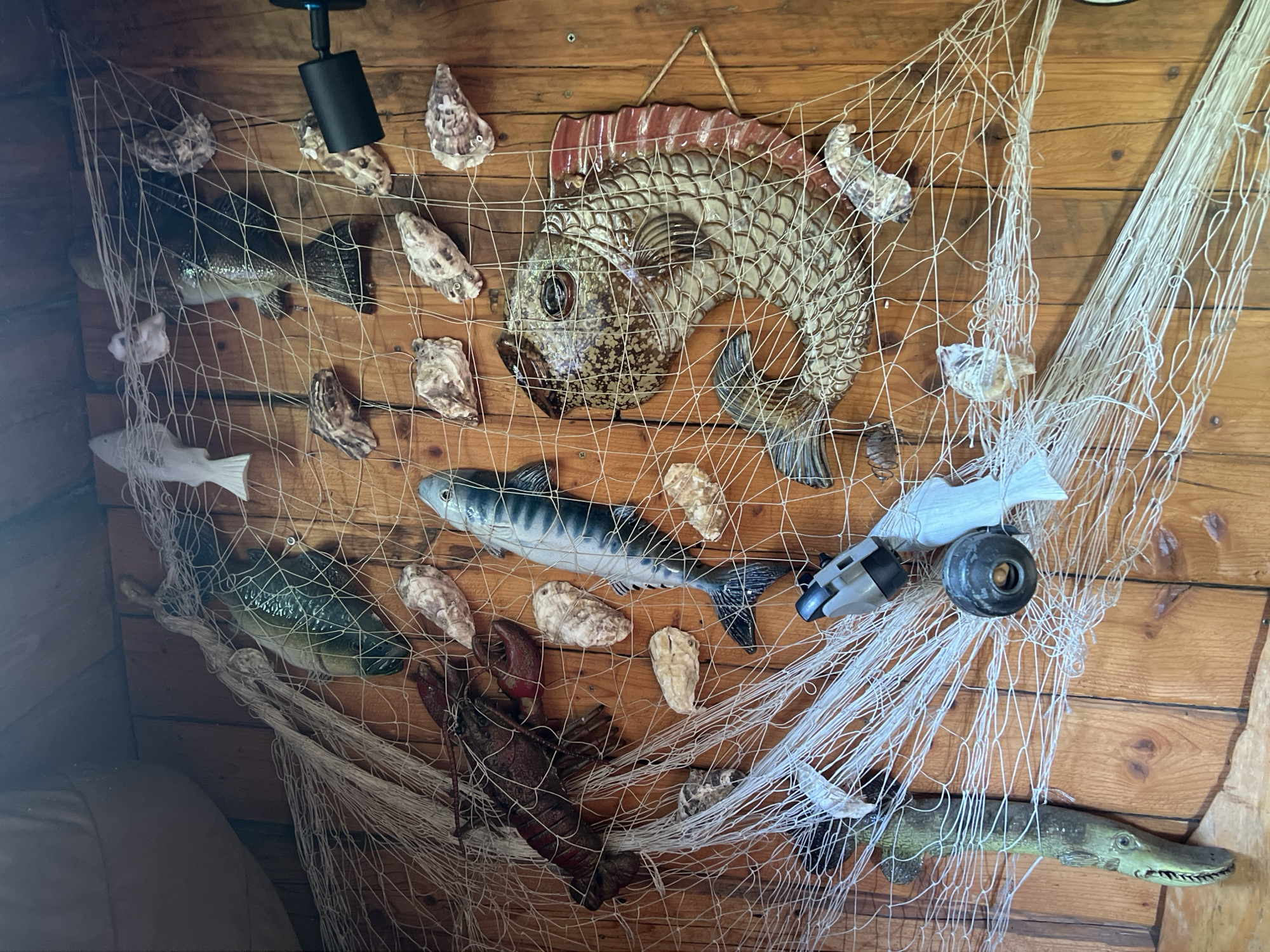 A decorative fishing net hangs on a wooden wall in Norviliškės, Lithuania. The net is adorned with various objects, including several ceramic fish, oyster shells, and a lobster. One ceramic fish, a larger specimen with a distinctive patterned body and red fins, is centrally placed and appears to be the focal point. Smaller ceramic fish are scattered throughout the net, some appearing to be submerged within its mesh. Oyster shells, in various states of opening and closing, are also interspersed among the fish and the netting. A red ceramic lobster is positioned near the bottom of the net. The wooden wall behind the display has a visible grain and texture, suggesting an outdoor or rustic setting. A black cylindrical light fixture is visible at the top left of the image, casting a dim light on the scene. There are no people present in the image.