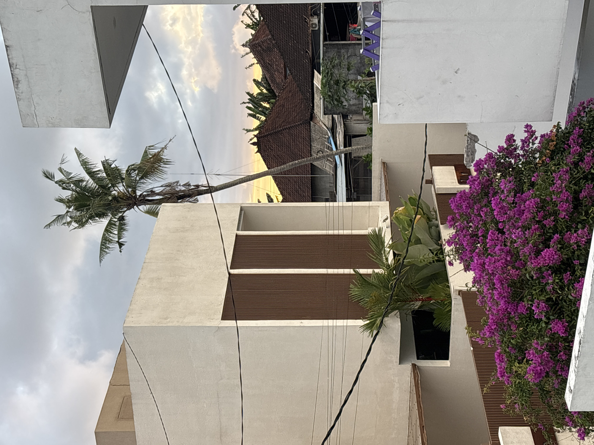 The image depicts a view in Mengwi, Indonesia, showing a mix of residential architecture and vegetation under a cloudy sky at dusk. In the foreground, a multi-story building with white walls and brown horizontal slats is partially visible. A bougainvillea bush with vibrant purple flowers is positioned on the right side of the frame. A palm tree extends diagonally across the image from the lower left, reaching toward the center. In the background, a row of houses with traditional red tile roofs is visible between the buildings. Power lines crisscross the scene.