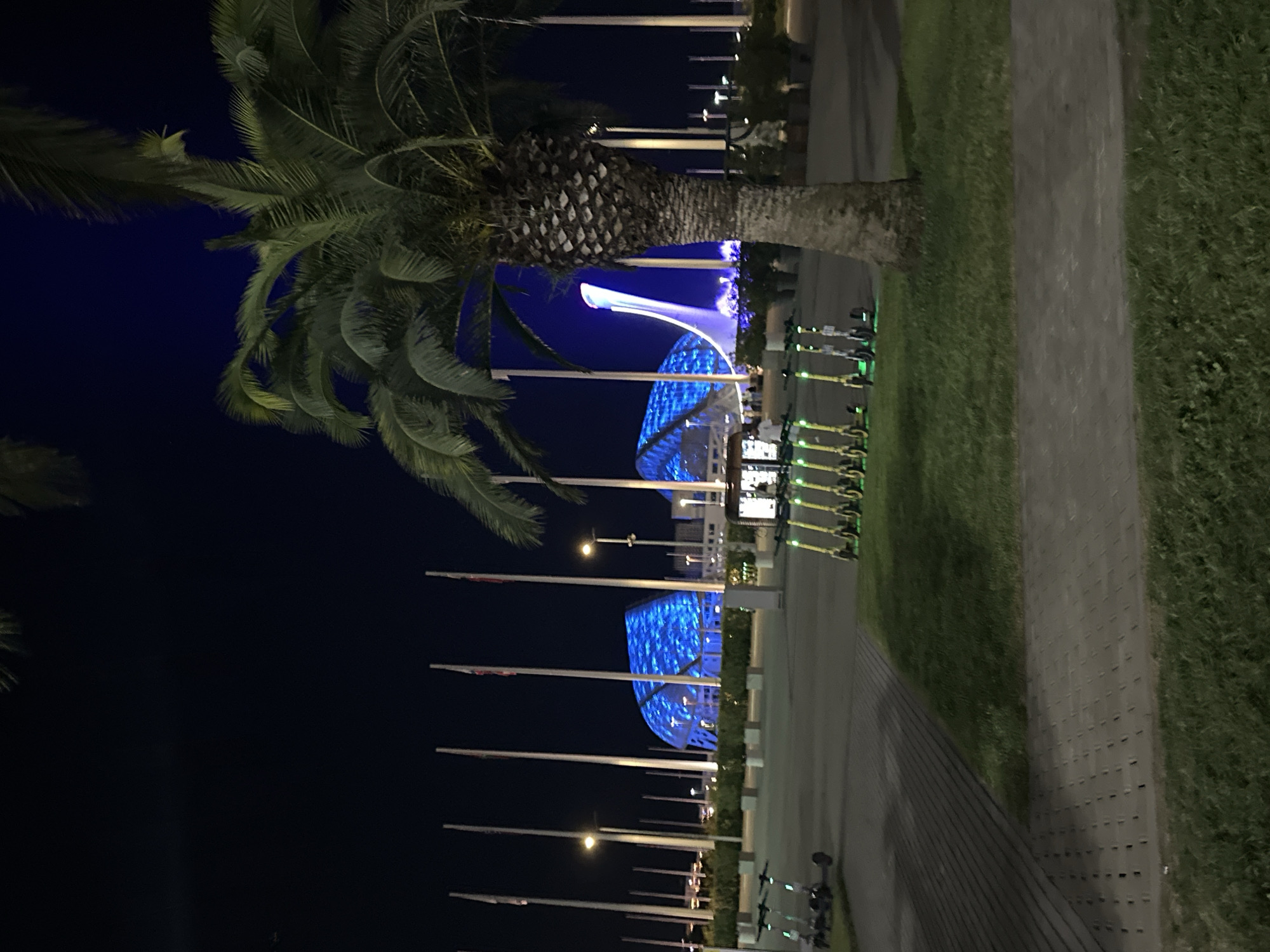 The image depicts a night scene in Sirius, Russia, focusing on the Olympic Park. In the foreground, several electric scooters are parked in a row on a paved walkway and grass area, some with green lights illuminated. A tall palm tree trunk is prominent on the right side of the frame, with its fronds extending upwards. In the mid-ground, more electric scooters are visible, with a building in the background illuminated with blue lights. Further back, a distinctive white structure, possibly a fountain or monument, is also lit up. The sky is dark, indicating nighttime. The overall scene suggests an urban recreational area with a focus on modern transportation and illuminated architectural features.