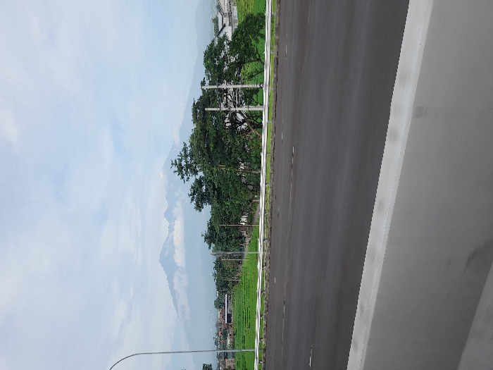 This image captures a wide, empty asphalt road stretching into the distance, viewed from an elevated perspective such as an overpass or bridge, as indicated by the white concrete barrier running along the right side of the frame. To the left of the road, a strip of green grass gives way to a line of lush, dark green trees. Beyond the trees, further green fields are visible in the mid-ground.
In the far distance, towering mountains dominate the horizon, their peaks partially veiled by a light haze or clouds, suggesting a vast, natural landscape. The sky above is a soft, clear blue adorned with scattered white clouds, indicating it is daytime. A street light pole can be seen in the lower left corner. The scene appears tranquil and devoid of human activity, showcasing the natural beauty and infrastructure of Kecamatan Pandaan, Indonesia. There is no visible text.