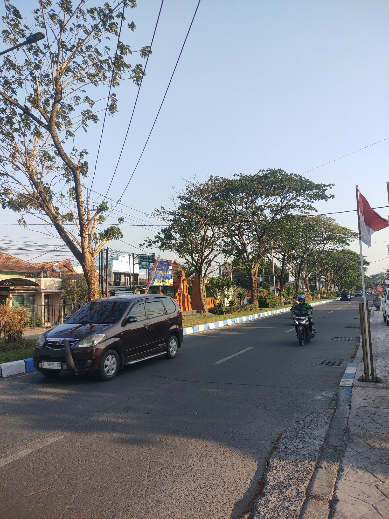 This is a daylight, eye-level, vertical shot of a street in Sooko, Indonesia. The scene is dominated by a tree-lined road with a clear sky. On the left, a maroon minivan is parked along the side of the road, facing left. The minivan's license plate reads "S 1491 SO." A tall tree with sparse green leaves stands to the left of the minivan, with power lines running across the frame. The road is paved and has white lane markings. A white and blue curb separates the road from the sidewalk.
In the center of the image, a person on a black motorcycle, wearing a green jacket and helmet, is riding away from the camera down the road. Further down the road, more trees line the street, and several cars are visible in the distance. To the right of the road, a sidewalk with a stamped concrete pattern is visible, bordered by a curb. Two red and white flags are planted on poles to the right of the frame, suggesting a national or local celebration.
In the background, on the left side of the street, a low-rise building with a tiled roof is visible. There are also several signs and a structure with an orange roof. The lighting suggests it is either early morning or late afternoon, with long shadows cast on the road.