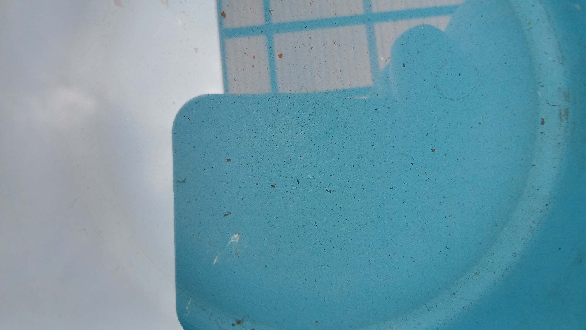 The image shows a close-up view of the textured surface of a blue plastic object, possibly a bucket or container, set against a blurred background of white and grey. The blue surface is speckled with small dark particles, likely debris or dirt. A reflection on the surface, particularly on the right side, shows a grid-like pattern, suggesting the presence of a window or fence. There are also some small brown flecks scattered across the blue surface. The lighting suggests an indoor or covered environment. The image does not contain any identifiable landmarks or context that would allow for the determination of its location within the city of Astana, Kazakhstan.