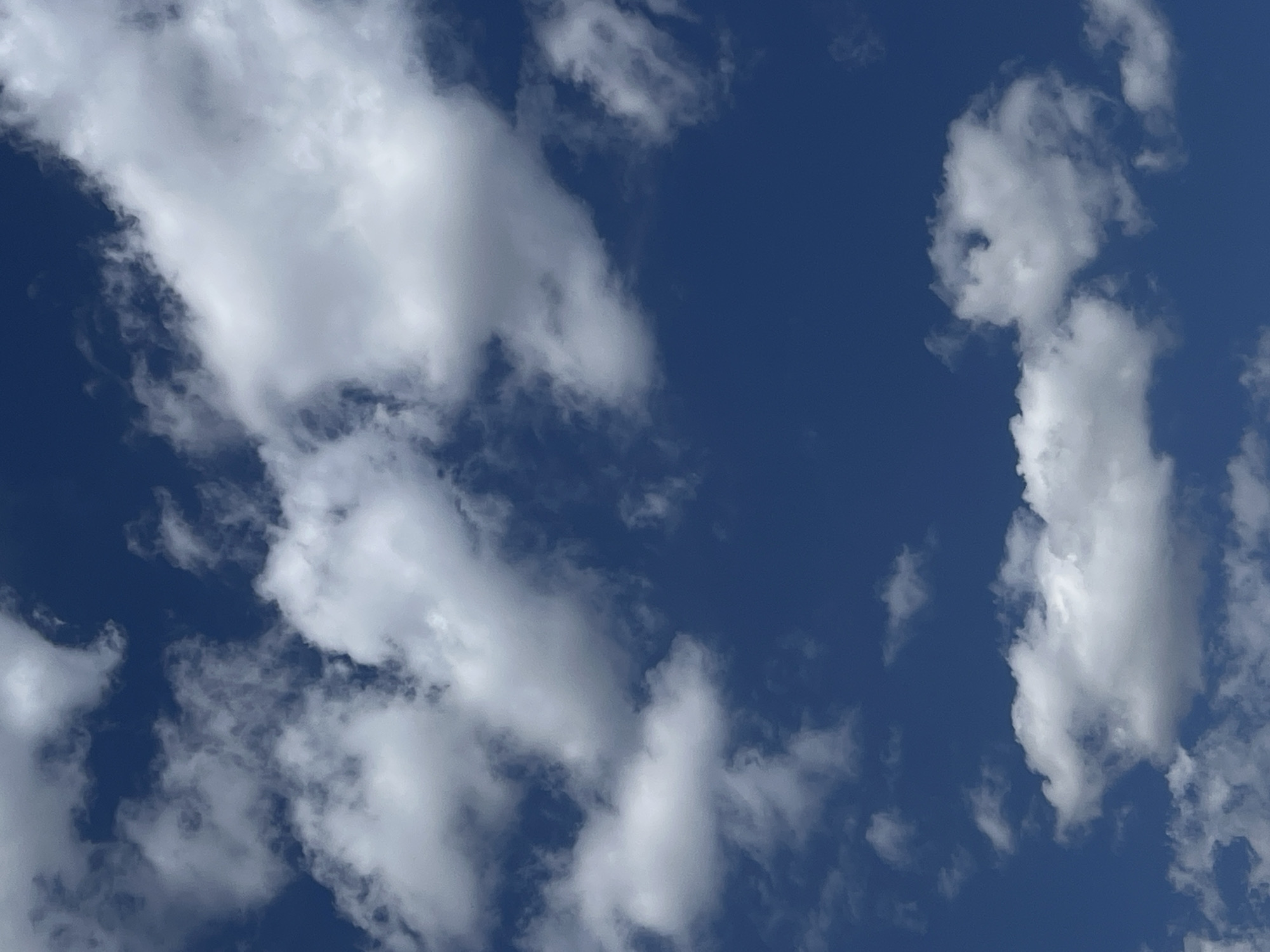The image displays a cloud-filled blue sky, as seen from Plovdiv, Bulgaria. There are no people, subjects, or objects other than clouds visible in the frame. The environment is purely atmospheric, with fluffy white cumulus clouds scattered across a deep blue sky. The lighting suggests it is daytime, with the sun illuminating the tops of the clouds. The perspective is looking upwards.