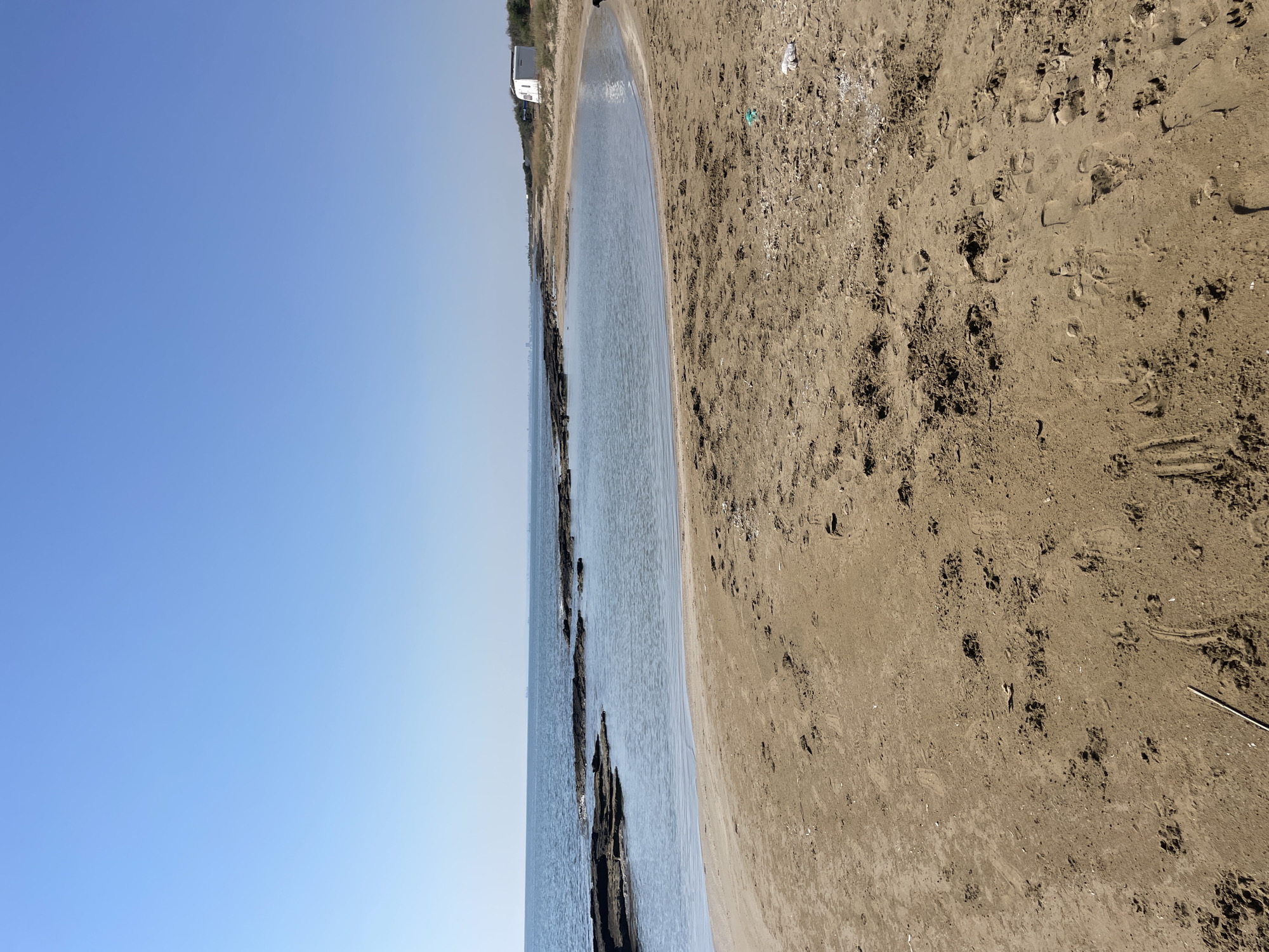 The image depicts a serene beach scene in Spathariko, Northern Cyprus. The foreground is dominated by a sandy beach with numerous footprints and some scattered debris, including a piece of green plastic and white shells. The sand is light brown and appears somewhat dry.
The middle ground features a calm, shallow body of water, possibly a natural lagoon or cove, with its edge gently curving along the shoreline. Several dark, rocky outcrops emerge from the water, breaking the surface and creating a visual texture. The water itself is clear and reflects the light blue sky.
In the background, the expanse of the sea stretches to the horizon under a clear, cloudless sky. Far in the distance, a faint cityscape or industrial area is visible along the coastline. To the right of the image, on a slight rise beyond the beach, a white mobile home or small caravan is situated amongst sparse vegetation. A dark object, possibly a dog, can be seen near the caravan. The overall impression is one of a quiet, natural coastal environment.