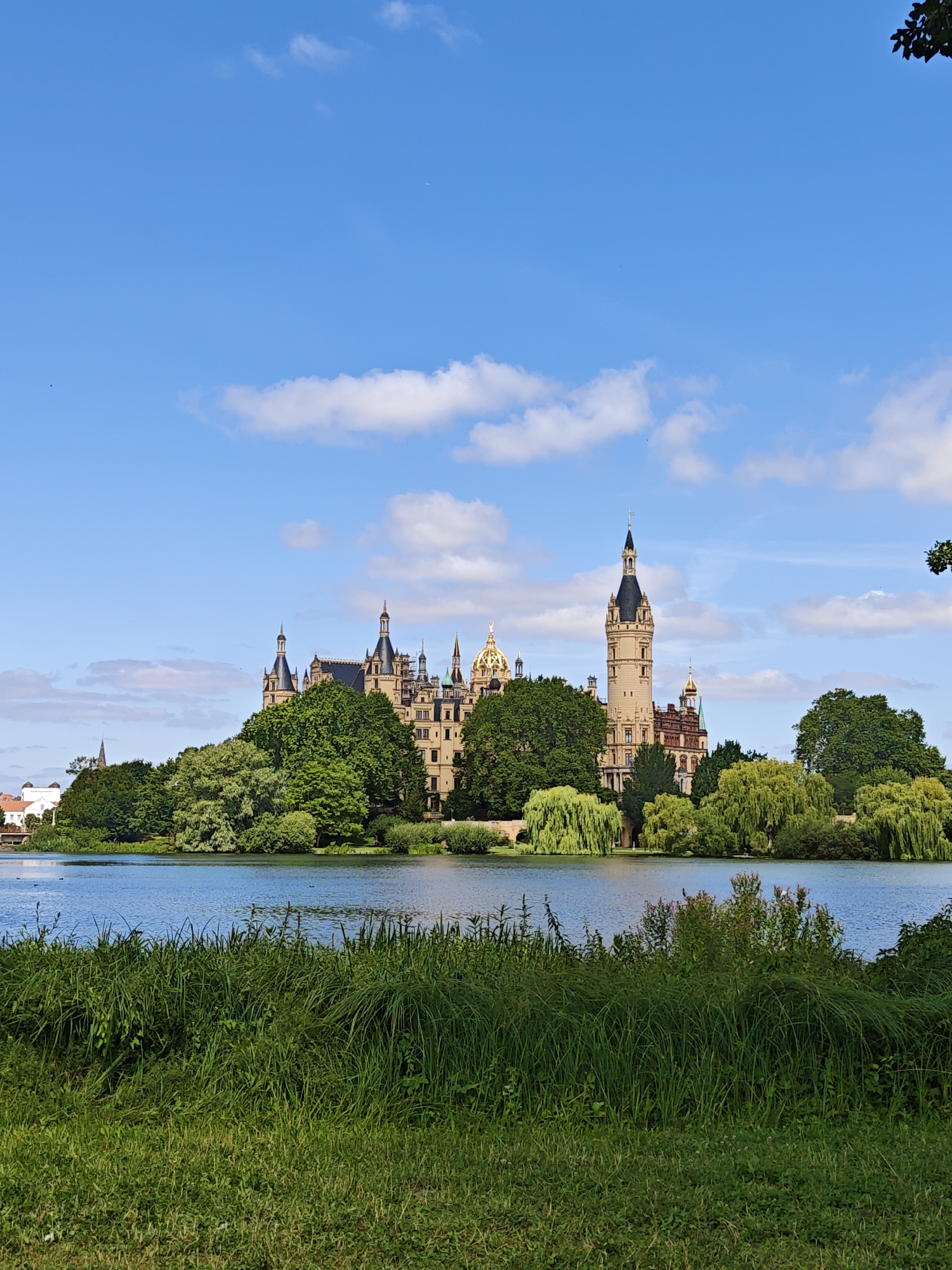 The image depicts a majestic castle situated on an island in a serene lake, likely Schweriner See, in Schwerin, Germany. The castle, a grand architectural marvel, features multiple towers with dark spires and a prominent golden dome, all rendered in a light-colored stone. It is surrounded by a dense array of lush green trees that form a verdant backdrop. The foreground is dominated by the calm, blue water of the lake, with tall green grass and reeds lining its edge. The sky above is a bright, clear blue, punctuated by scattered white clouds. The scene conveys a sense of tranquility and historical grandeur. There are no people or animals visible in the image.