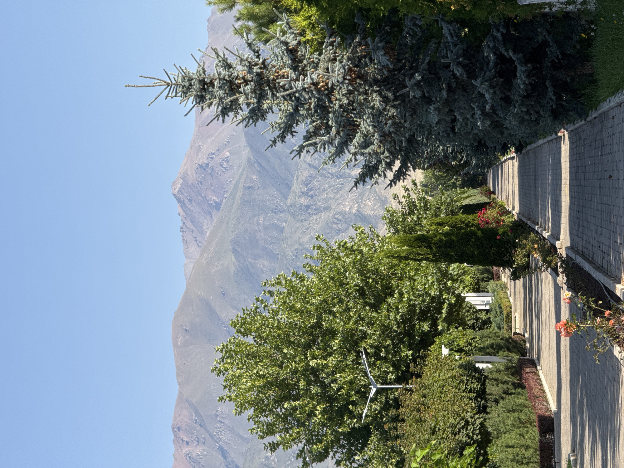 This image depicts a paved walkway lined with trees and bushes, leading towards a distant mountainous landscape under a clear blue sky. On the left side of the walkway, there are lush green trees and manicured bushes, with a lamppost visible among the foliage. On the right, several large blue spruce trees with visible cones dominate the scene, interspersed with other evergreens. The walkway itself is constructed of interlocking bricks, with a slight incline. Flowerbeds with small red and orange flowers are visible along the edges of the walkway. The mountains in the background are rugged and appear arid, with shades of brown and grey. The scene appears to be a public park or a well-maintained garden pathway, possibly in or near the city of Sary-Oy, Kyrgyzstan, given the mountainous backdrop. No people or animals are present in the image, and no specific actions or interactions are depicted.