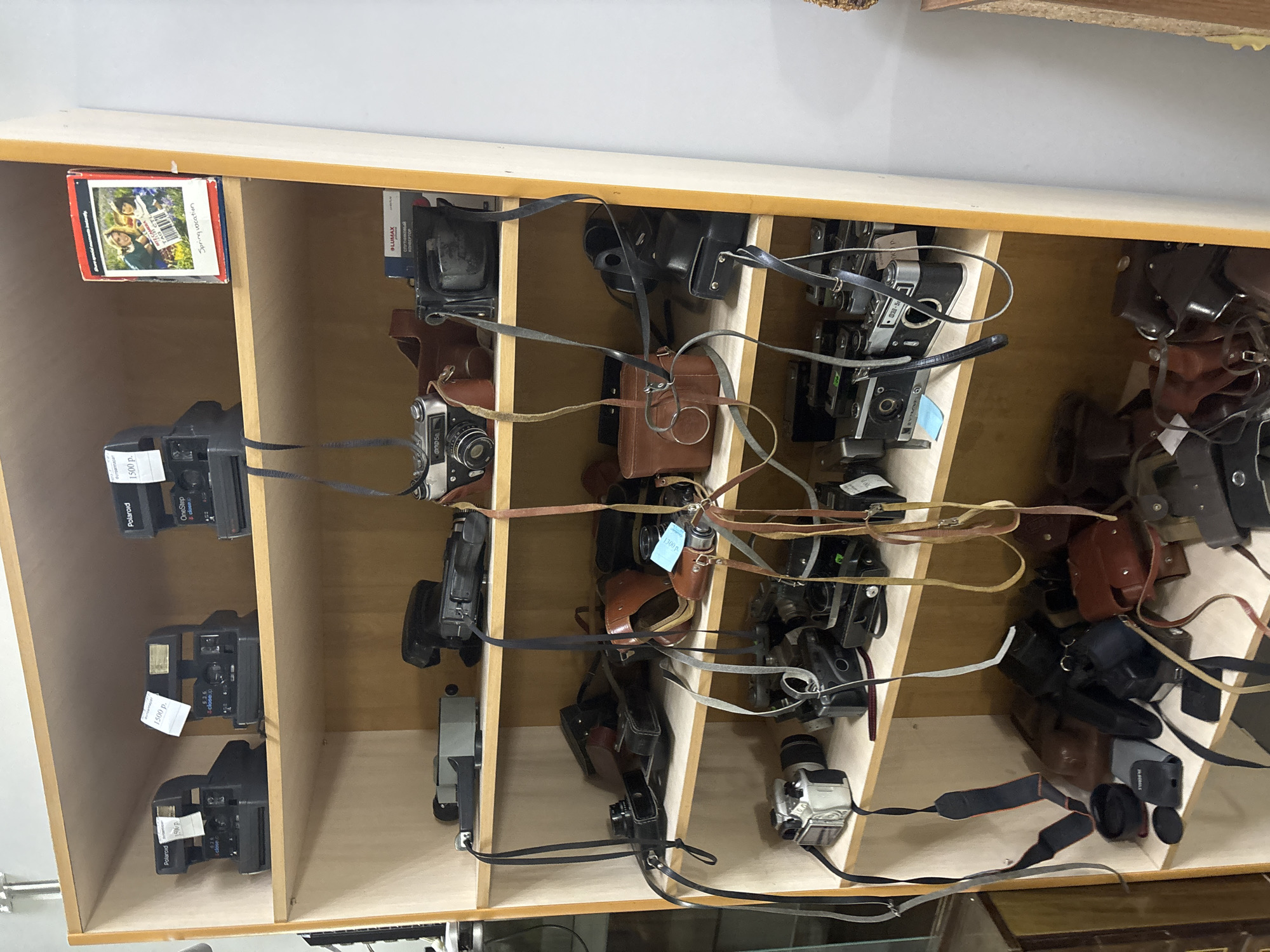 This image captures an indoor display of numerous vintage cameras, likely offered for sale in Chaikovsky, Russia. The cameras are arranged within a multi-compartment wooden shelving unit.
The collection includes several black Polaroid OneStep close-up cameras, each marked with a white price tag showing "1500 p." (Russian Rubles) and the text "Polaroid OneStep close." Many other cameras, ranging from compact models to those in larger brown leather cases, are also visible. One camera features "D58" on its body, and another has "030-5." Multiple camera straps, made of leather and various fabrics, are tangled around the items, indicating their age and previous use. One price tag reads "1300 p."
On the top shelf, a small box shows an image of people and the words "Spring vacation," possibly indicating a film roll or a photo album. Another label in the display shows "LUMAX" and the Russian word "спутниковый" (Sputnikovy), likely associated with a camera accessory or a different type of electronic device. The overall scene suggests a second-hand shop or a collector's display.