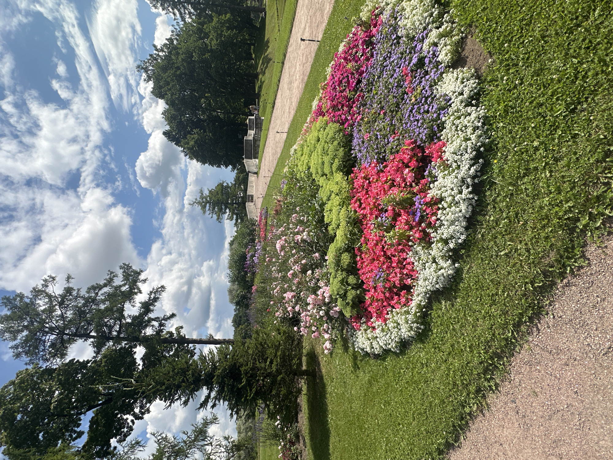 The image depicts a manicured flowerbed in a park setting, likely located in Gatchina, Russia, given the architectural style visible in the background. The flowerbed is a prominent feature, arranged in a curved shape along a gravel path. It showcases a vibrant assortment of flowers in various colors, including white, pink, red, and purple. Behind the flowerbed, a neatly mowed green lawn slopes gently upwards. Tall trees with dense foliage border the park, some of which are evergreen conifers. In the distance, a light-colored stone bridge or walkway with railings can be seen spanning across a slightly elevated area. The sky is a mix of blue with scattered white cumulus clouds. There are no visible people in the foreground, though a few figures can be faintly discerned near the bridge in the background. The scene conveys a serene and well-maintained park environment.