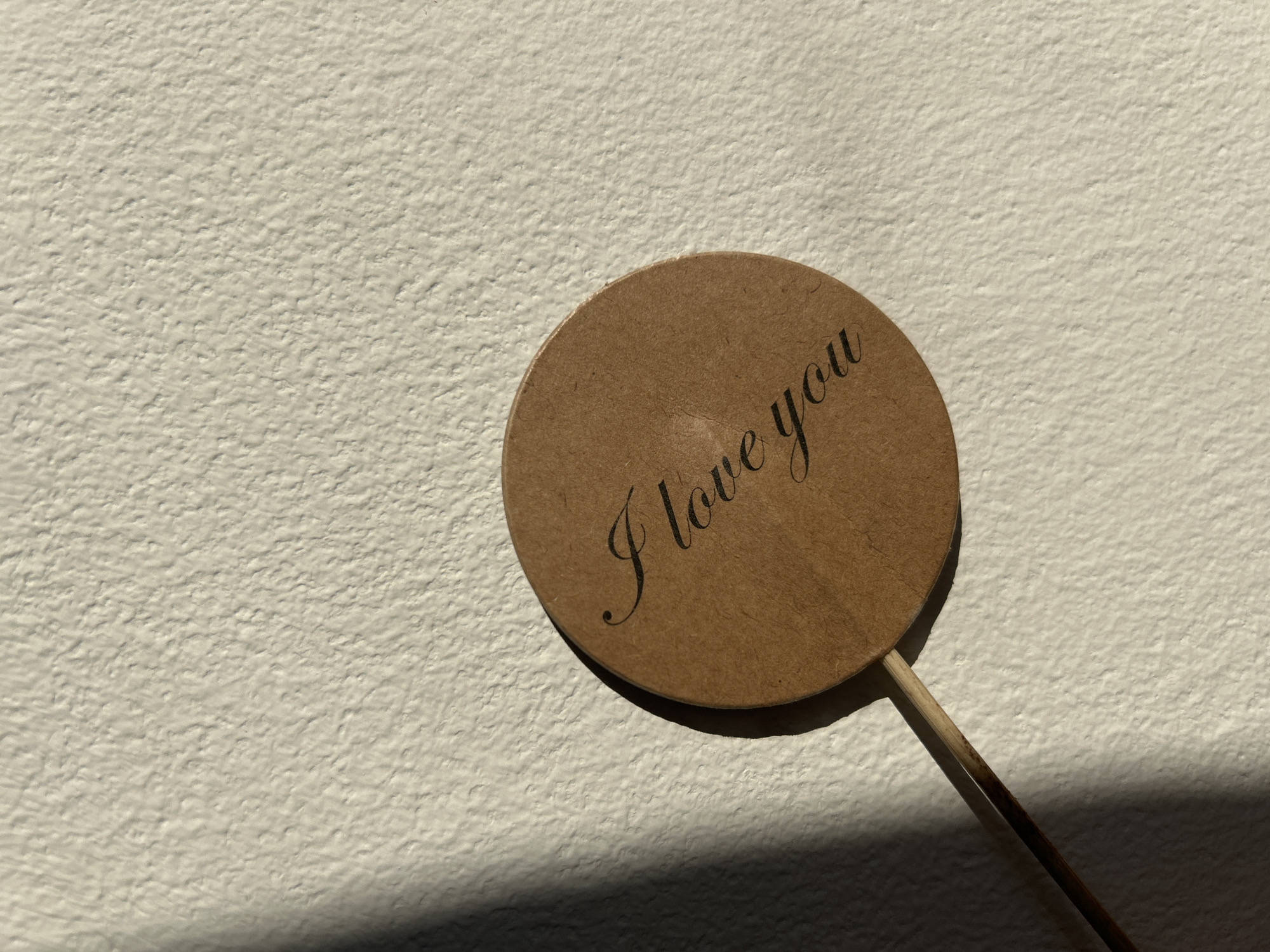 A close-up shot displays a circular, brown cardboard tag affixed to a thin, cylindrical stick. The tag is inscribed with the cursive phrase "I love you" in black ink. The background consists of a textured, off-white wall. The scene is illuminated with sunlight, creating distinct shadows on the wall and the tag's stick. The image's location and city are unknown.