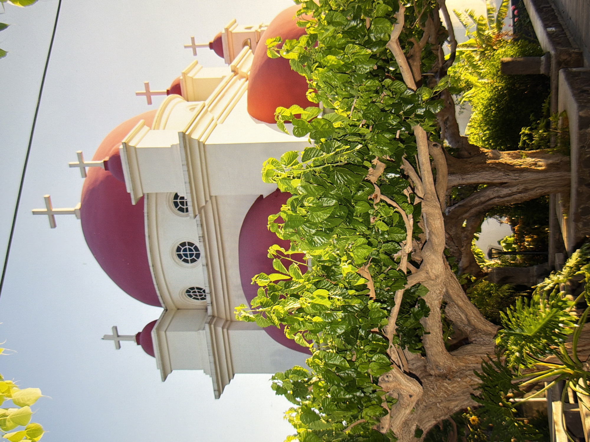 The image captures a serene scene in front of a white building with red-domed roofs, adorned with crosses. Lush green foliage from trees and plants partially obscures the lower portion of the building, creating a naturalistic foreground. The building features several arched windows and smaller circular windows with intricate grills. The sky is clear and bright, suggesting a sunny day. The image is a photograph, possibly taken during daylight hours, with soft lighting. The location is not the city of Kyiv, Ukraine.