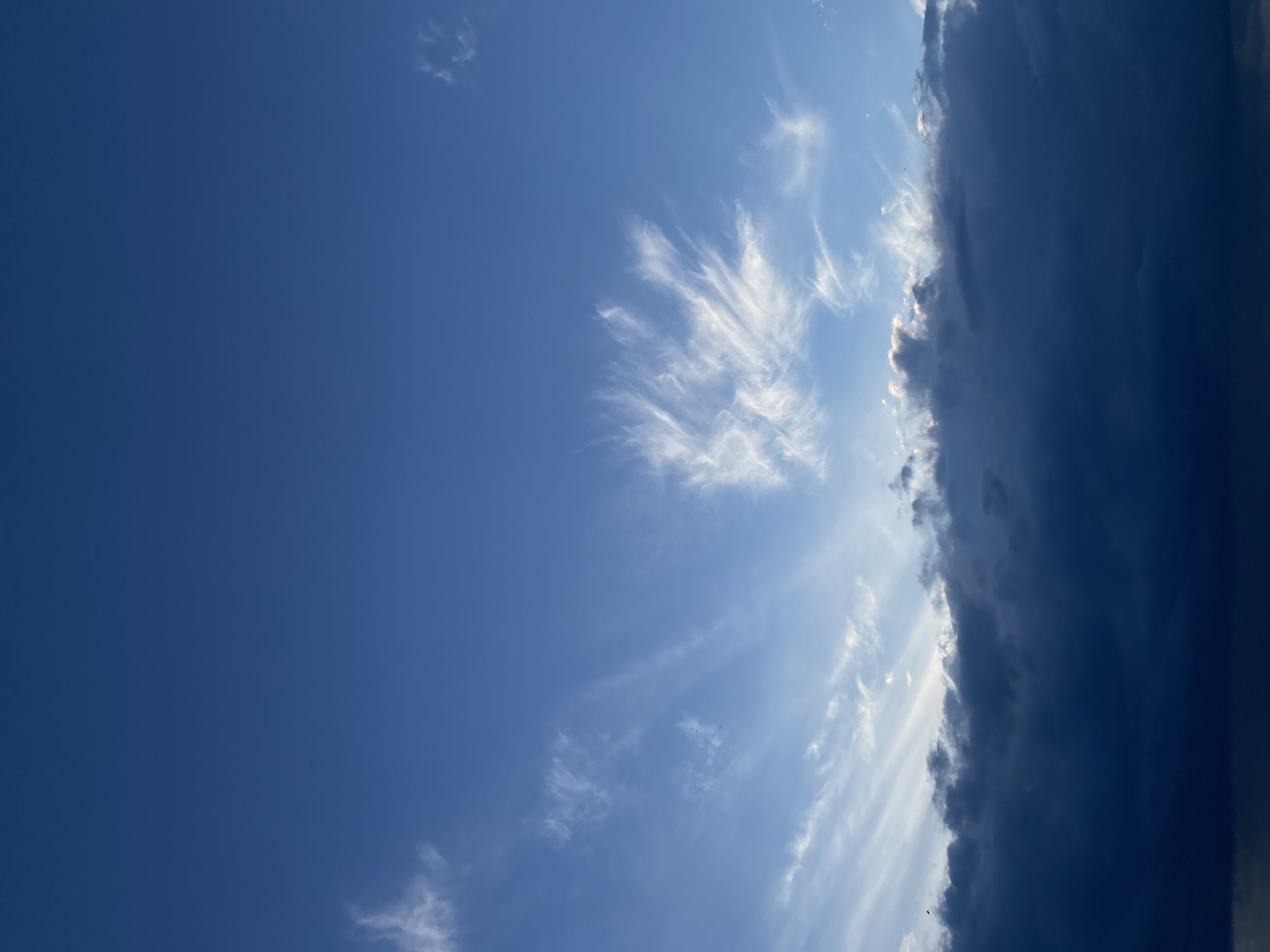 A vertical shot shows a dramatic sky above Sestroretsk, Russia. The upper portion of the frame is a clear, deep blue sky, gradually transitioning to a lighter blue near the horizon. Wispy, white cirrus clouds are scattered across the upper sky, appearing delicate and feathery. Below these, a more substantial bank of darker, heavier clouds occupies the lower third of the image. The tops of these darker clouds are illuminated by the setting sun, with streaks of golden light breaking through them, creating a stark contrast between the dark mass and the bright highlights. The overall scene evokes a sense of an approaching storm or the aftermath of one, with the illuminated clouds hinting at the fading light of day.