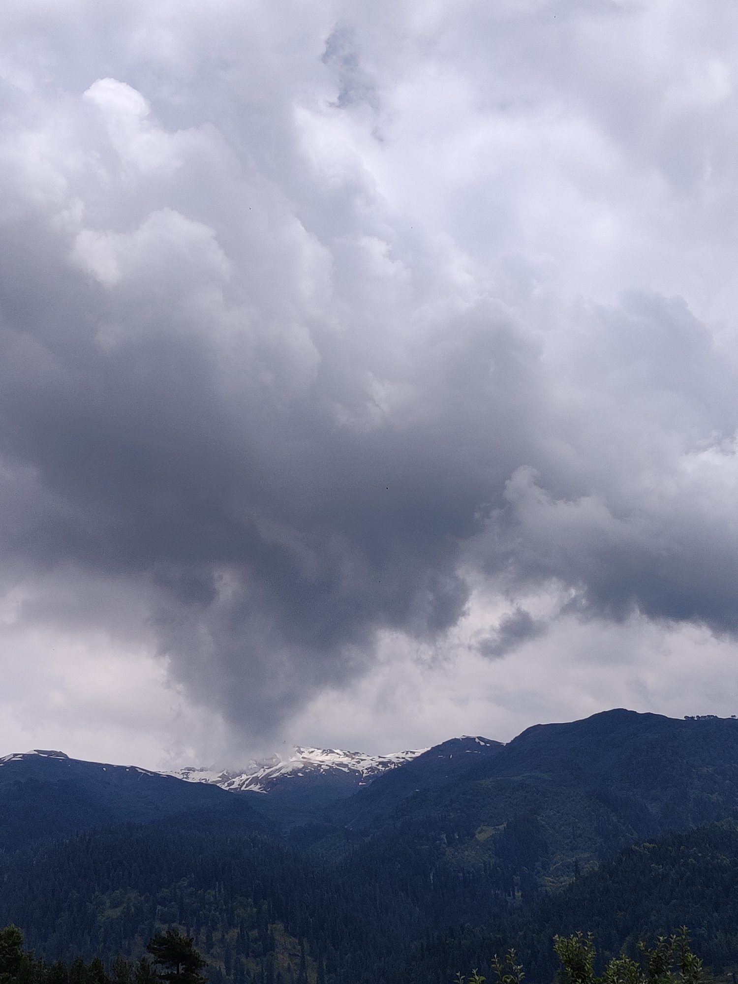 The image depicts a mountainous landscape with a dense forest in the foreground and snow-capped peaks in the background. The sky is filled with dramatic, dark clouds, suggesting inclement weather or a storm. The lush green of the forest contrasts with the white of the snow and the dark hues of the clouds and mountains. The overall impression is one of a wild, majestic, and potentially challenging natural environment.