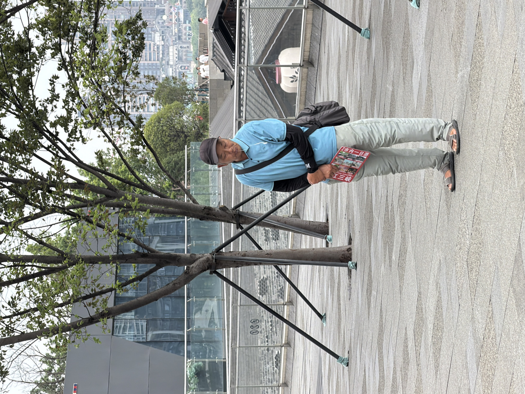 An older Asian man wearing a blue polo shirt, a black baseball cap, and light-colored pants stands outdoors in a paved area. He has a dark shoulder bag slung across his chest and is holding a small, red-covered booklet in his hands. A thin white wire extends from his ear. The man is positioned in front of several trees with dark trunks and green foliage, which are supported by black metal braces. In the background, a modern building with reflective windows is visible, along with more trees and a city skyline with tall buildings. The ground is paved with light-colored tiles laid in a geometric pattern. The overall lighting suggests an overcast day. The scene appears to be in an urban park or public plaza.