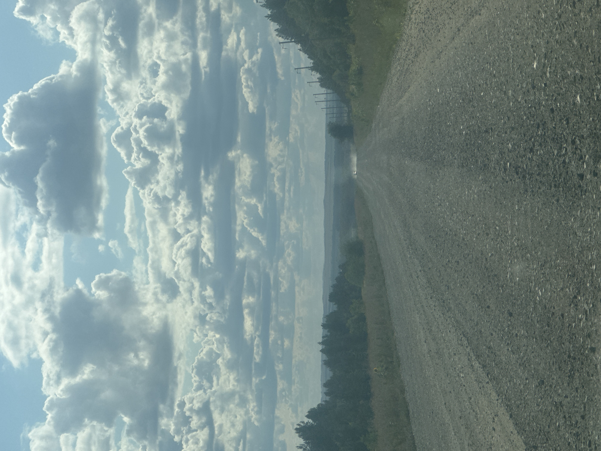The image depicts a long, winding gravel road stretching into the distance under a cloudy sky. Dense green trees line the right side of the road, with a few power line poles visible amongst them. The landscape appears rural, with rolling hills and a vast, open sky filled with voluminous, white clouds. The overall scene is dominated by natural elements, with no signs of urban life or specific identifiable landmarks that would place it in Васильевка, Russia. The road itself is rough and unpaved, suggesting it is a rural or country road. A small, light-colored vehicle is faintly visible in the distance, kicking up a small cloud of dust. The lighting suggests it is daytime, possibly late afternoon, given the soft quality of the light and the shadows. The ground texture on either side of the road is uneven and covered in vegetation and loose gravel.