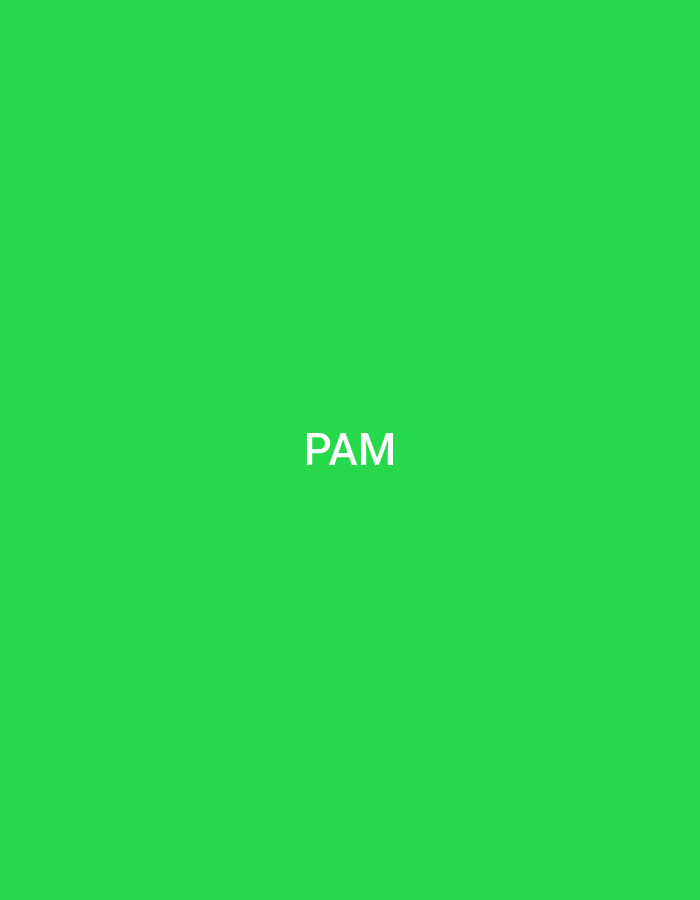 The image displays a solid, uniform green background. Centered on this background are three uppercase white letters forming the word "PAM". No people, additional subjects, objects, actions, or environmental details are present. The image is a digital graphic and does not depict a physical location in the city of Casablanca, Morocco, or any other real-world setting.