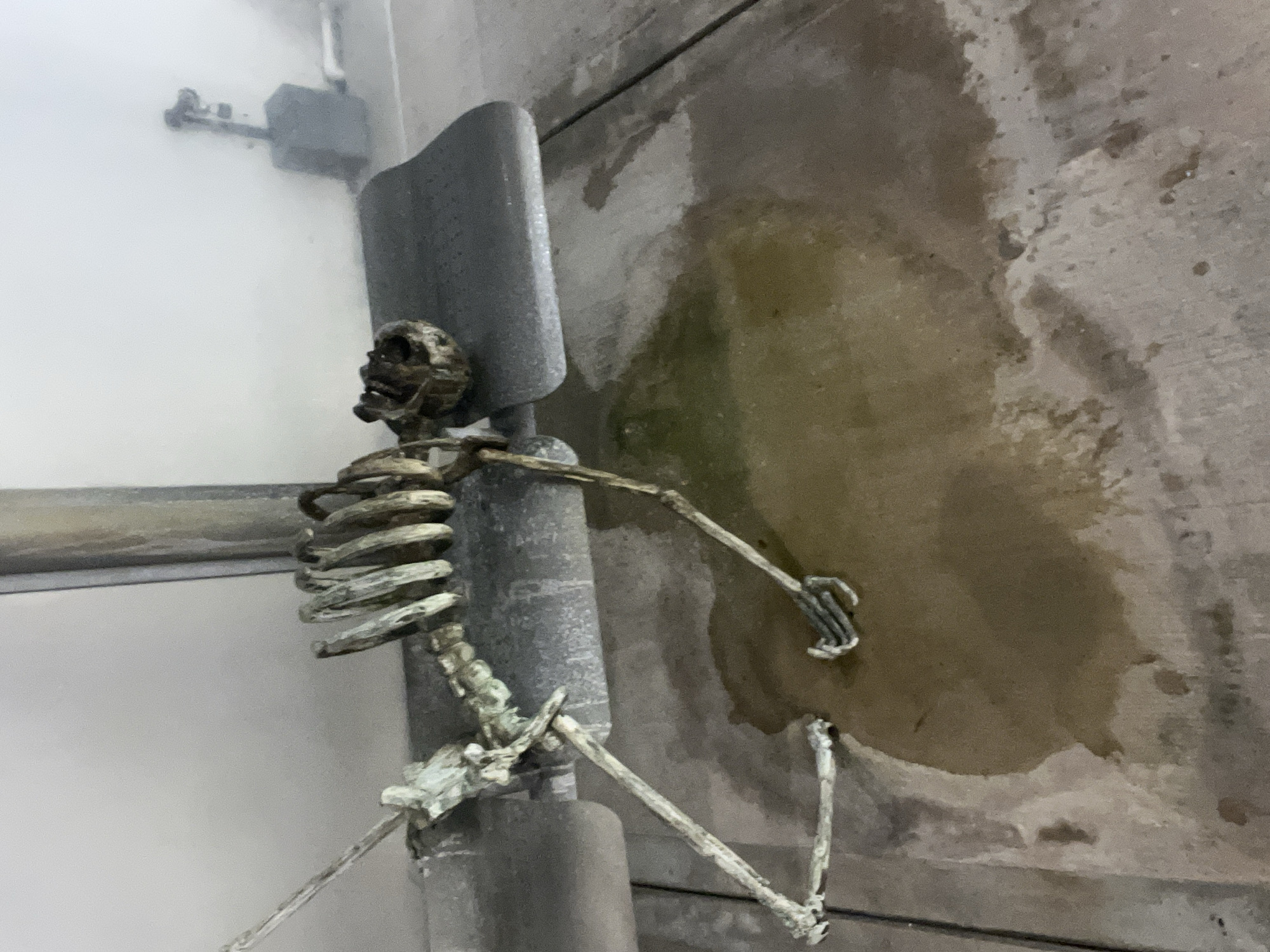 A dilapidated, possibly artificial, skeleton is partially supported by a vertical pipe fixture in a humid, possibly neglected, interior space. The walls show evidence of water damage and mold growth. No indications support the location being in Miami, United States of America.