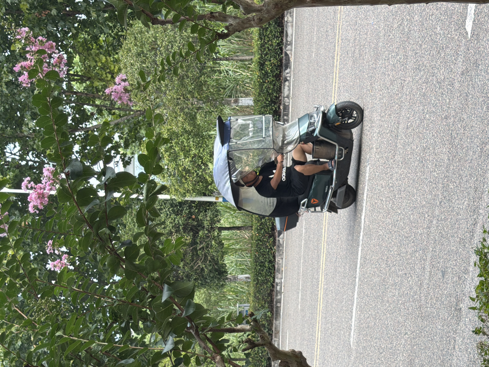 In Jiangjin, China, a person wearing a helmet and an Adidas t-shirt rides a green electric scooter equipped with a canopy. The scooter is on an asphalt road with double yellow lines marking the lanes. The driver is wearing black shorts and blue sandals. The scooter has a silver bucket attached to its side. The background features lush green trees, some with pink flowers, and a manicured hedge lining the road. The overall scene is an outdoor street view in a semi-urban or suburban environment.