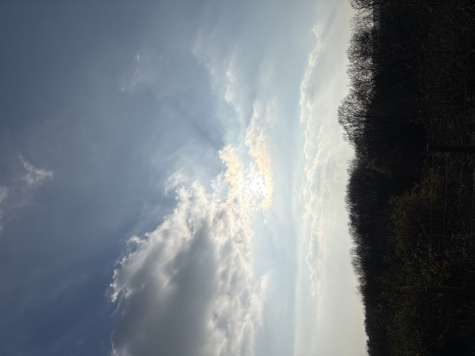 The image depicts a rural landscape near Stiperstones, United Kingdom, under a partially cloudy sky. The upper two-thirds of the frame are dominated by a pale blue sky, with scattered white and grey cumulus clouds. The sun is centrally positioned in the upper-middle section, largely obscured by a cloud, causing a bright halo effect and distinct crepuscular rays radiating downwards and outwards through breaks in the clouds. The lower third of the image shows a dark, silhouetted horizon line comprised of dense deciduous trees and scrubland, appearing largely bare of leaves. In the immediate foreground, dark, indistinct foliage and at least two vertical wooden fence posts are visible, suggesting a boundary or field edge. There are no individuals, animals, or specific actions identifiable within the scene.