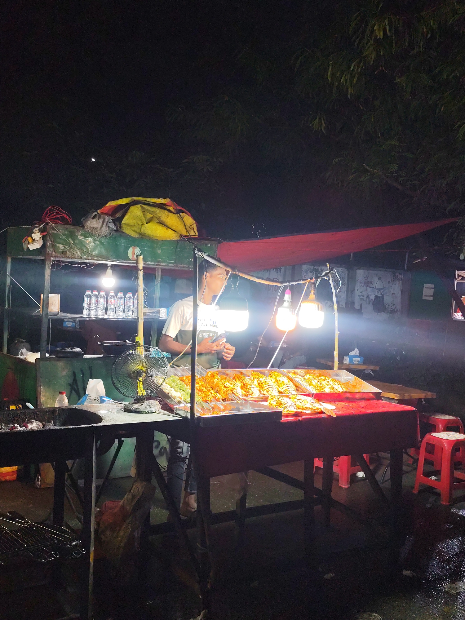 A street food stall is set up at night in Dhaka, Bangladesh, featuring grilled fish and skewers. A young man in a t-shirt stands behind the counter, looking at his phone. The stall is illuminated by several bright lights, casting a warm glow on the food. Bottles of water are neatly arranged on a shelf behind the counter. A fan is visible, suggesting it might be a warm evening. The ground is wet, indicating recent rain or cleaning. Red stools are placed near the stall, likely for customers. The background shows trees and a slightly dilapidated wall with graffiti. The scene captures the vibrant atmosphere of a nighttime street food market in Dhaka.