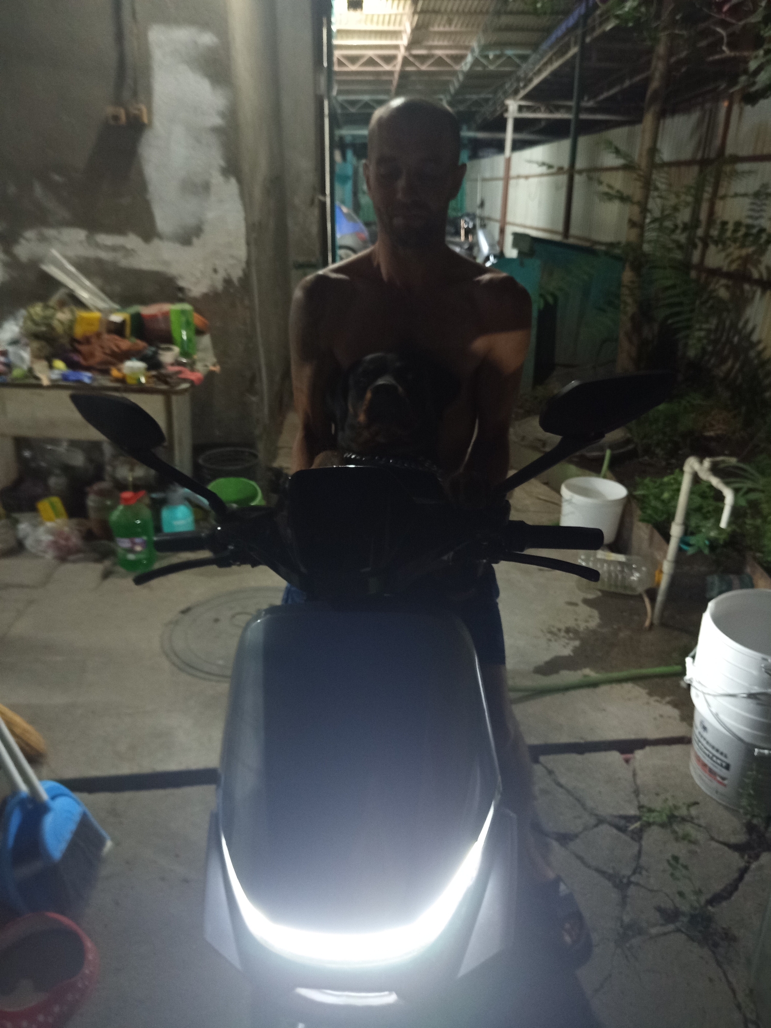 Memory