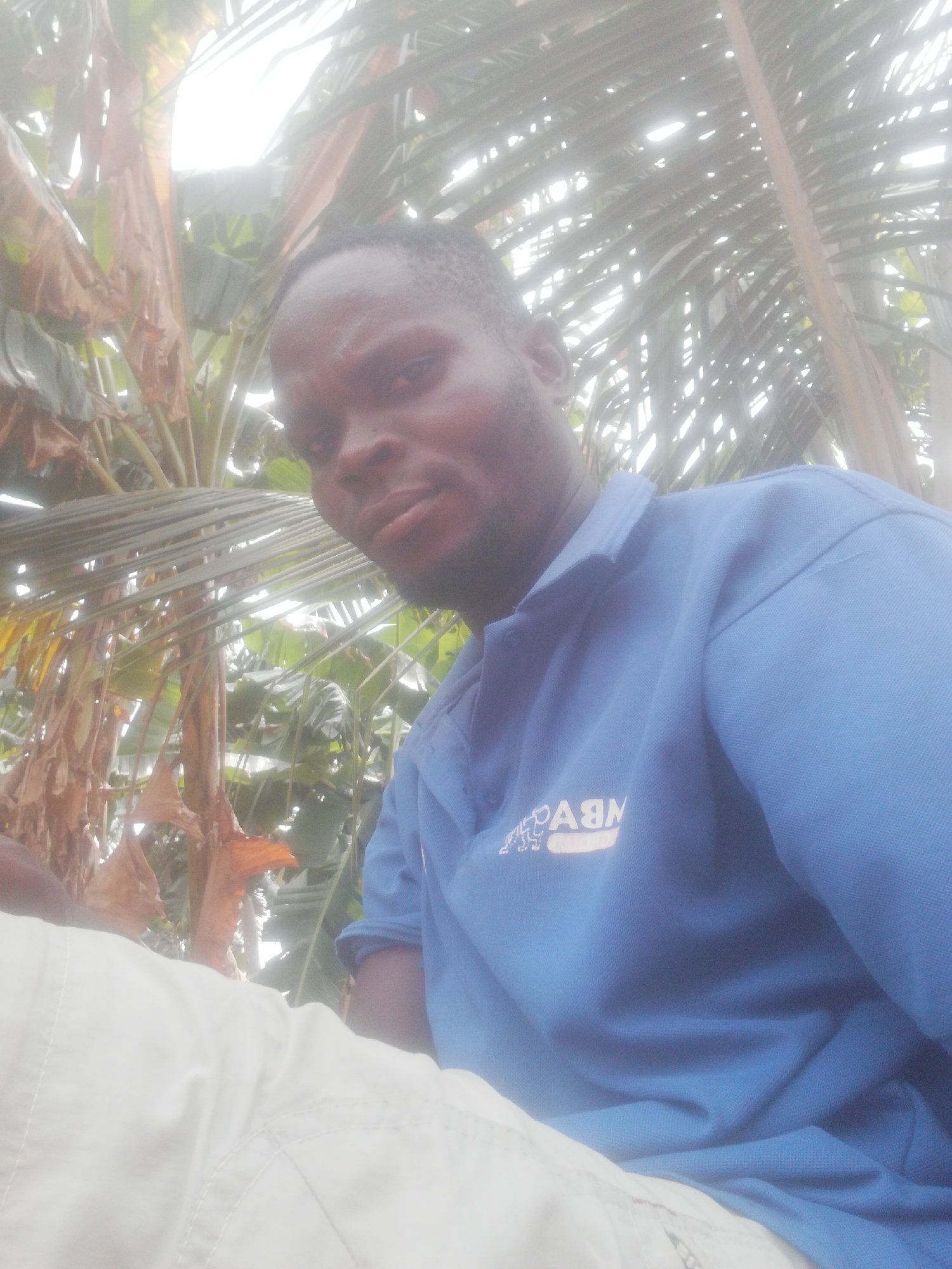 A medium shot depicts a dark-skinned man in a light blue collared shirt. The logo on the shirt reads "NBVAC" in white letters, though it appears reversed in the image. He is seated, with white pants visible at the bottom left of the frame. The man's facial expression appears serious or neutral. Background elements consist of tropical foliage, specifically a palm tree with large fronds and a banana plant with brown, dried leaves. The location is unknown, with no clear urban setting visible.