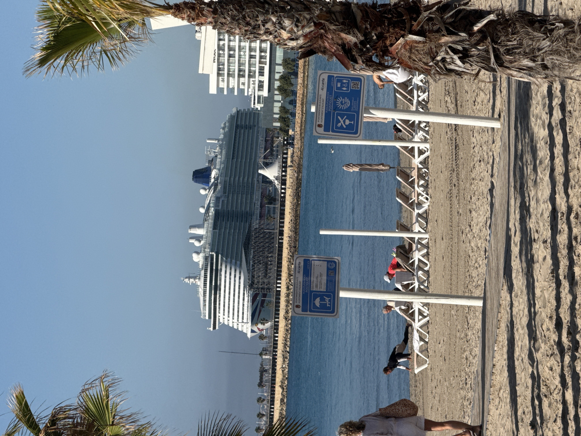 Here is a description of the image:
The image shows a beach scene, possibly in Alicante, Spain, based on the sign that says "Ajuntament d'Alacant." The beach is next to a body of water with a large cruise ship docked in the background. There are people on the beach, some sitting in beach chairs. Signposts are visible near the beach chairs. Palm trees frame the image in the corners. The sky is clear and blue.