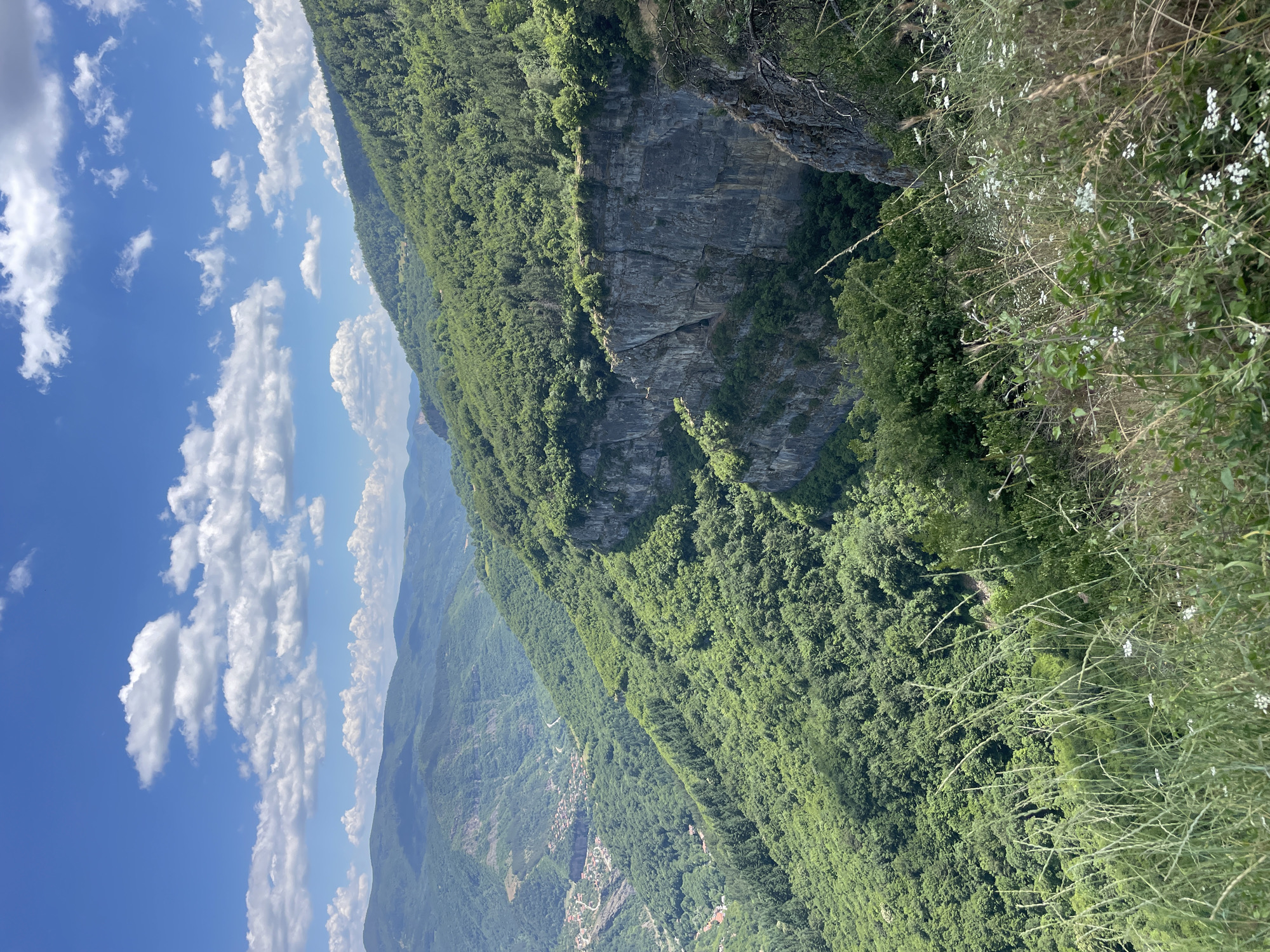 The image depicts a panoramic view of a lush green valley in Zasele, Bulgaria, dominated by rolling hills covered in dense forest. A prominent, sheer rock face runs along the right side of the frame, its grey stone contrasting with the vibrant vegetation. In the distance, nestled within the valley, a small village with red-tiled roofs is visible, hinting at human habitation. The sky above is a bright blue, dotted with fluffy white clouds, suggesting a clear and pleasant day. The foreground features tall, dry grasses and a few small white wildflowers, adding a touch of delicate detail to the rugged landscape. The overall scene conveys a sense of natural beauty and tranquility.