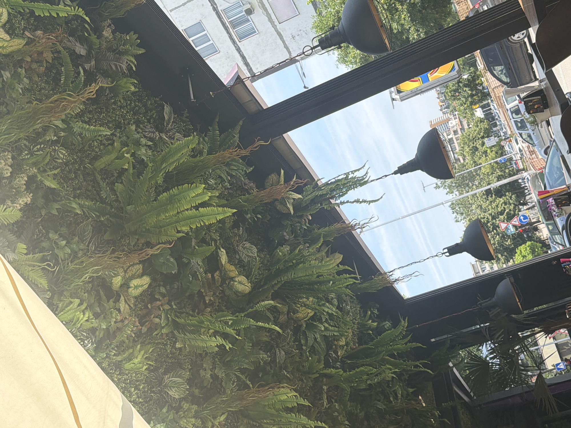The image captures an interior view, likely from a cafe or restaurant, looking outwards through a window onto an urban street scene. The immediate foreground features a beige fabric canopy or awning in the upper left corner. The ceiling is extensively covered with a dense arrangement of artificial green foliage, including various types of ferns, broad-leafed plants with distinct vein patterns, and trailing vines, creating a lush, overhead garden effect. Several black, industrial-style pendant lamps with metal cage details hang at varying lengths from this verdant ceiling. Dark, vertical structural beams frame the window view.
Beyond the window, under a clear blue sky with sparse white clouds, a multi-story, light-colored residential building is visible, featuring numerous rectangular windows with white frames and at least one external air conditioning unit. A busy street below is lined with mature green deciduous trees. Several vehicles are present on the street or parked alongside it, including a silver SUV and a dark-colored sedan. Various road signs, including a red-bordered yield sign and a blue circular mandatory direction sign, are visible, along with a traffic light pole displaying red and green signals. A prominent vertical advertising billboard, displaying yellow and blue branding (consistent with a LIDL supermarket advertisement), stands on the right side of the street. The overall environment suggests a well-trafficked area within a city. No discernible individuals are present in the foreground or clearly visible in the outdoor scene. The setting, particularly the architecture and street infrastructure, is consistent with an urban area in Shumen, Bulgaria.