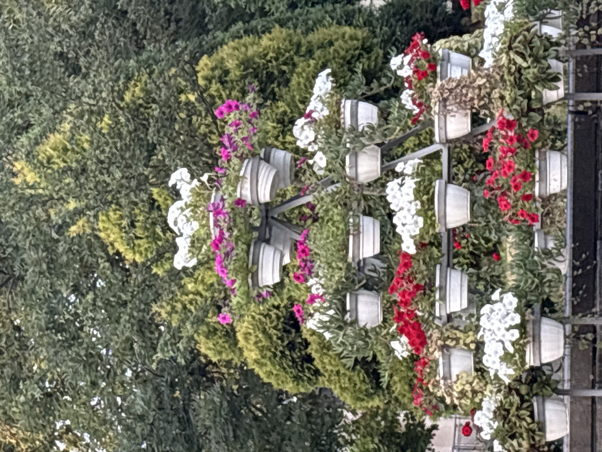 The image shows a tiered plant stand adorned with an abundance of flowering plants. The stand is triangular in shape and made of metal. The plants are in white pots, arranged on multiple levels. The flowers are in various colors, including white, red, and pink, with lush green foliage. Behind the plant stand, there are dense green trees and some smaller, lighter green coniferous trees. The scene appears to be outdoors, likely in a park or garden setting. The image quality is somewhat blurry and pixelated, suggesting it may have been taken from a distance or with a lower-resolution camera. There are no people visible in the image. The overall impression is a vibrant display of flowers against a natural, green background. This scene was photographed in the city of Kalush, Ukraine.