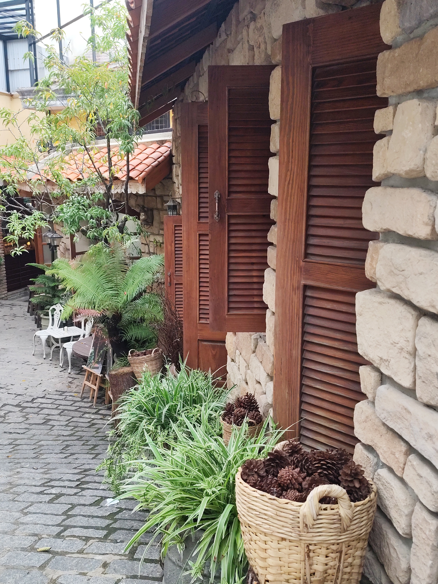 The image depicts a charming outdoor seating area in Da Lat, Vietnam, characterized by a rustic, stone-walled building with wooden louvered shutters. The cobblestone pathway leads to a small white metal table and chairs, suggesting a cafe or restaurant. Lush greenery, including ferns and striped plants, adds to the ambiance, with baskets of pinecones serving as decorative elements. A young tree with green leaves grows beside the building, and the terracotta tiled roof completes the picturesque scene. The overall impression is one of a tranquil and inviting space in the picturesque city of Da Lat.
