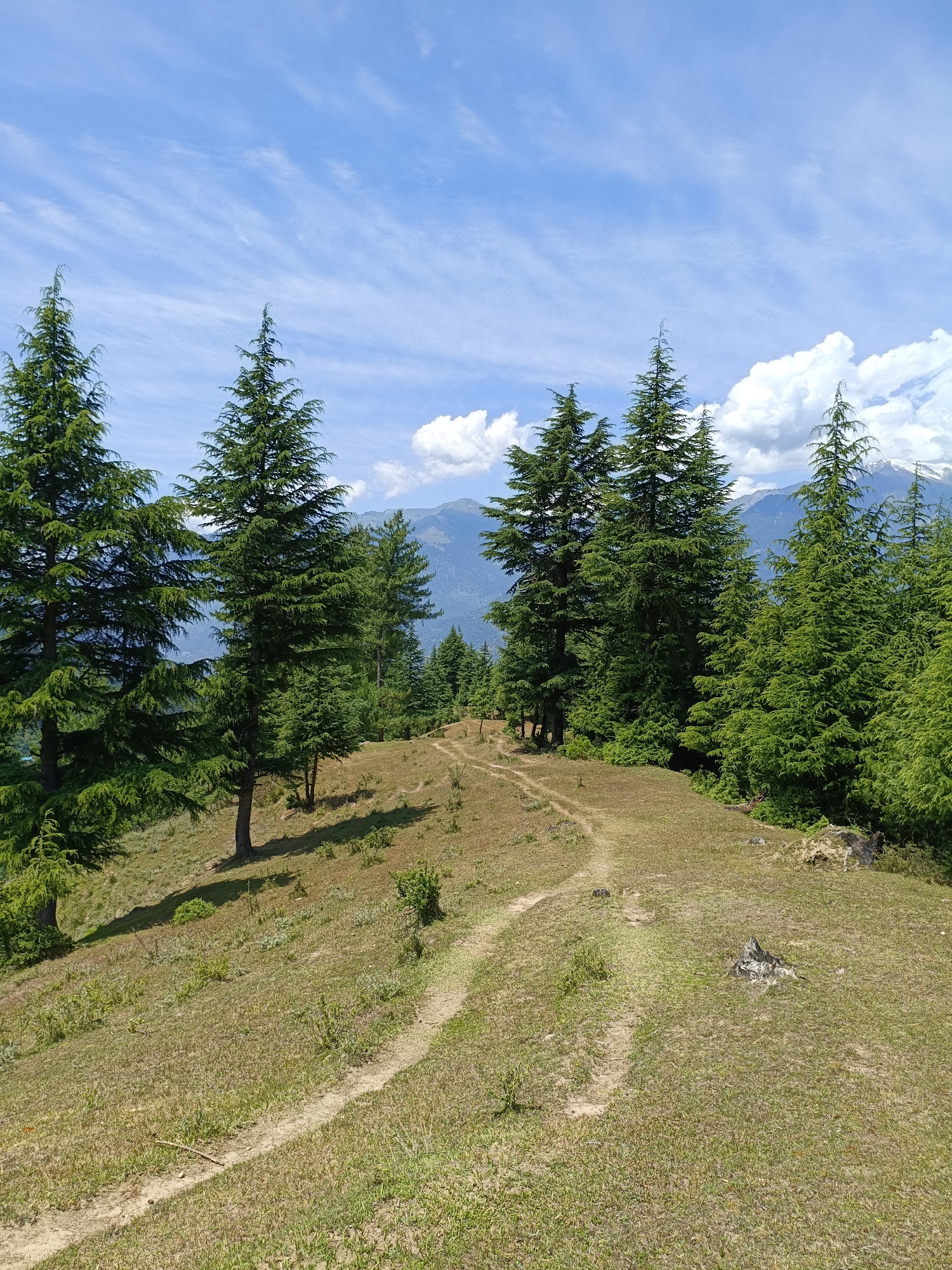 A dirt path winds through a grassy, hilly landscape dotted with evergreen trees under a partly cloudy blue sky. In the background, distant mountains are visible. The scene appears to be a natural, outdoor environment.